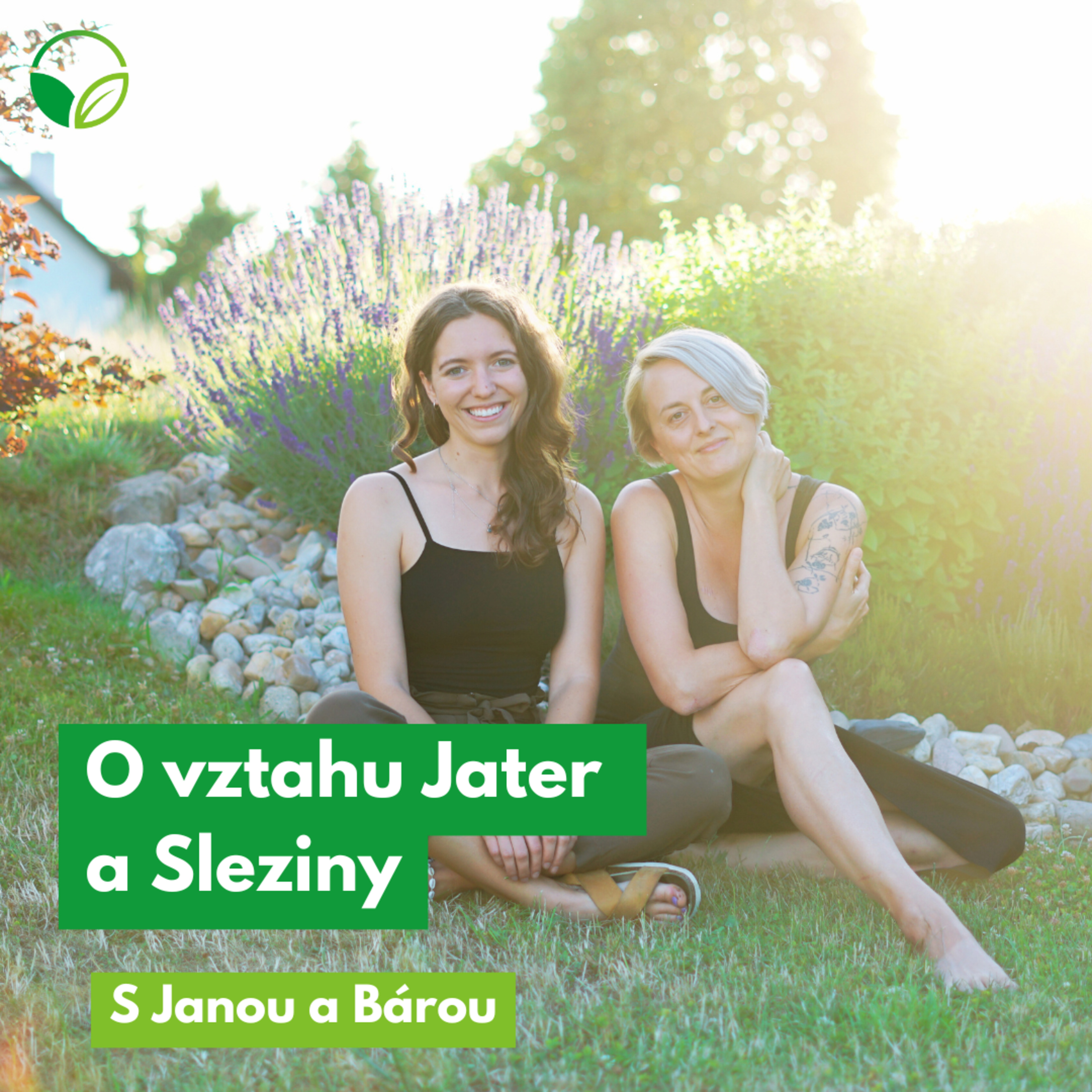 O všem s Janou a Bárou | O vztahu Jater a Sleziny
