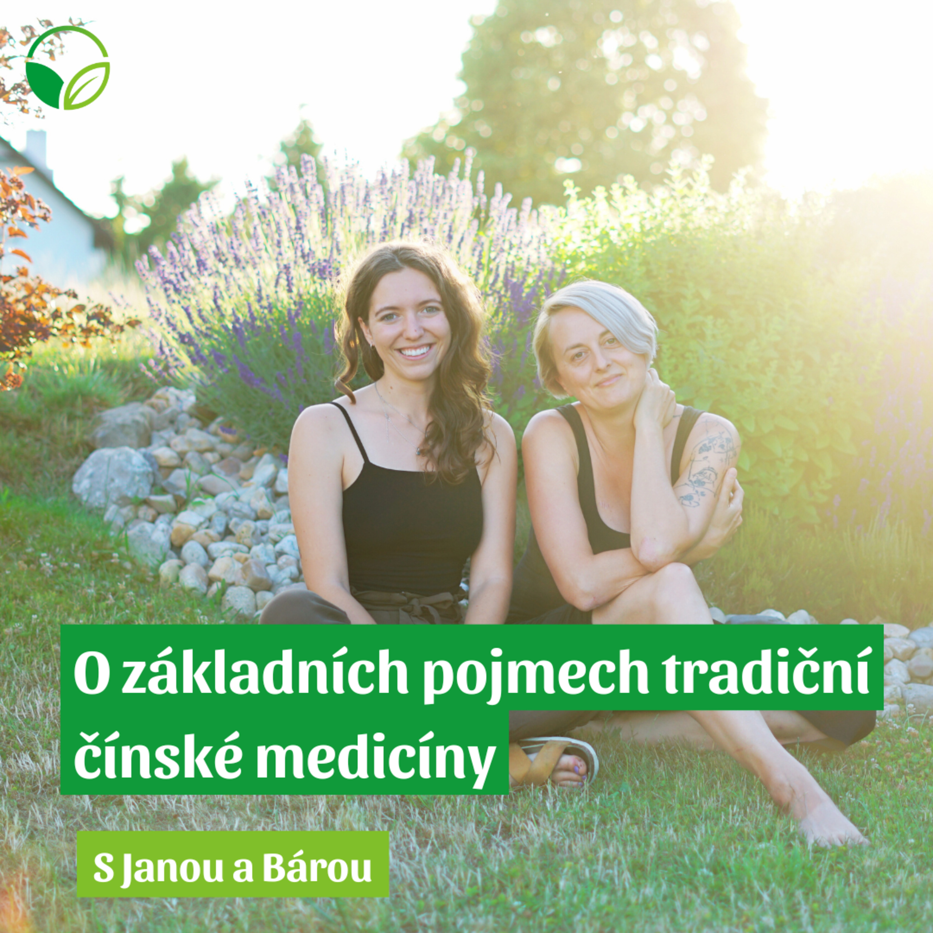 O všem s Janou a Bárou | O základních pojmech tradiční čínské medicíny