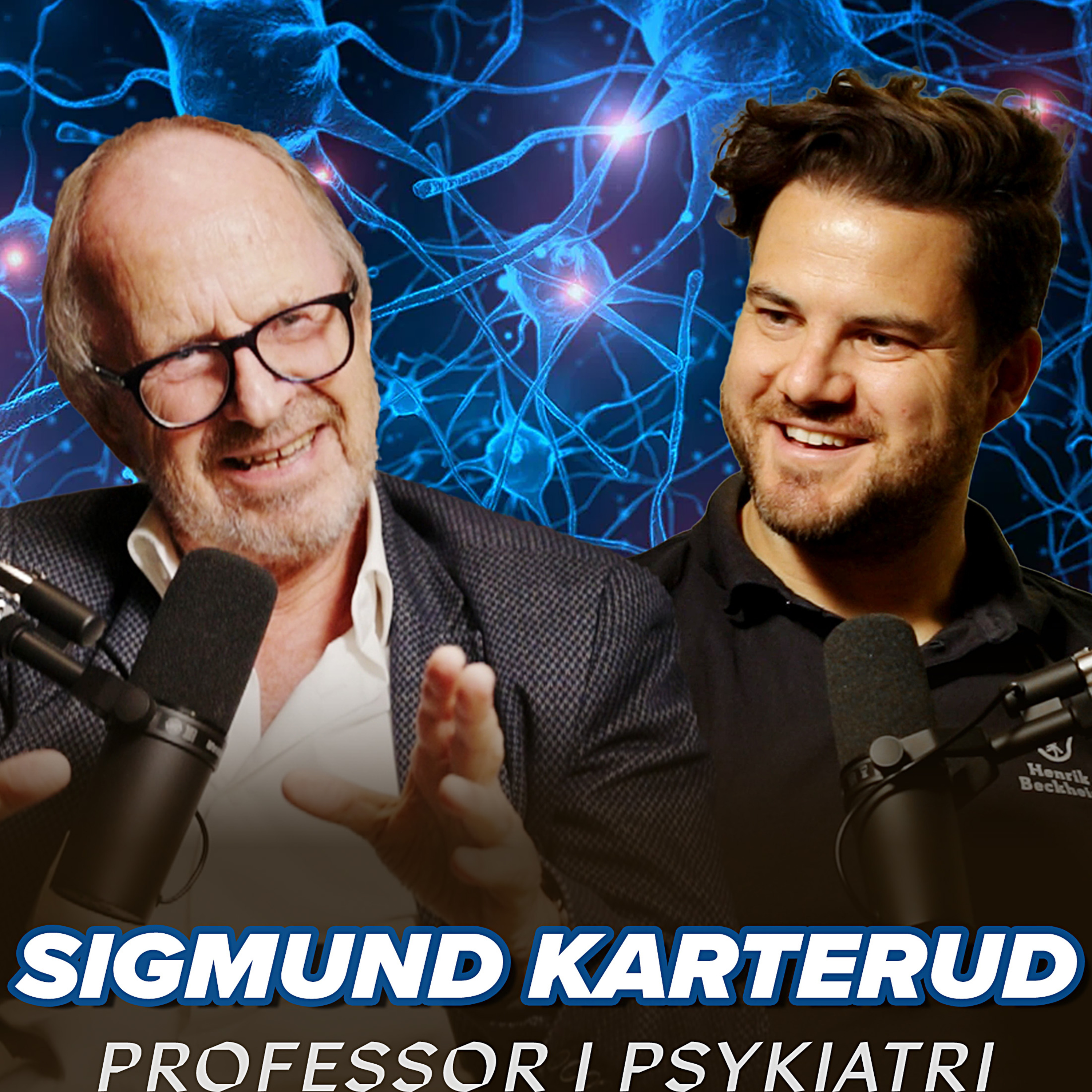 Sigmund Karterud – Personlighetsforstyrrelser, borderline, psykopati, selvfølelse og overmedisning.