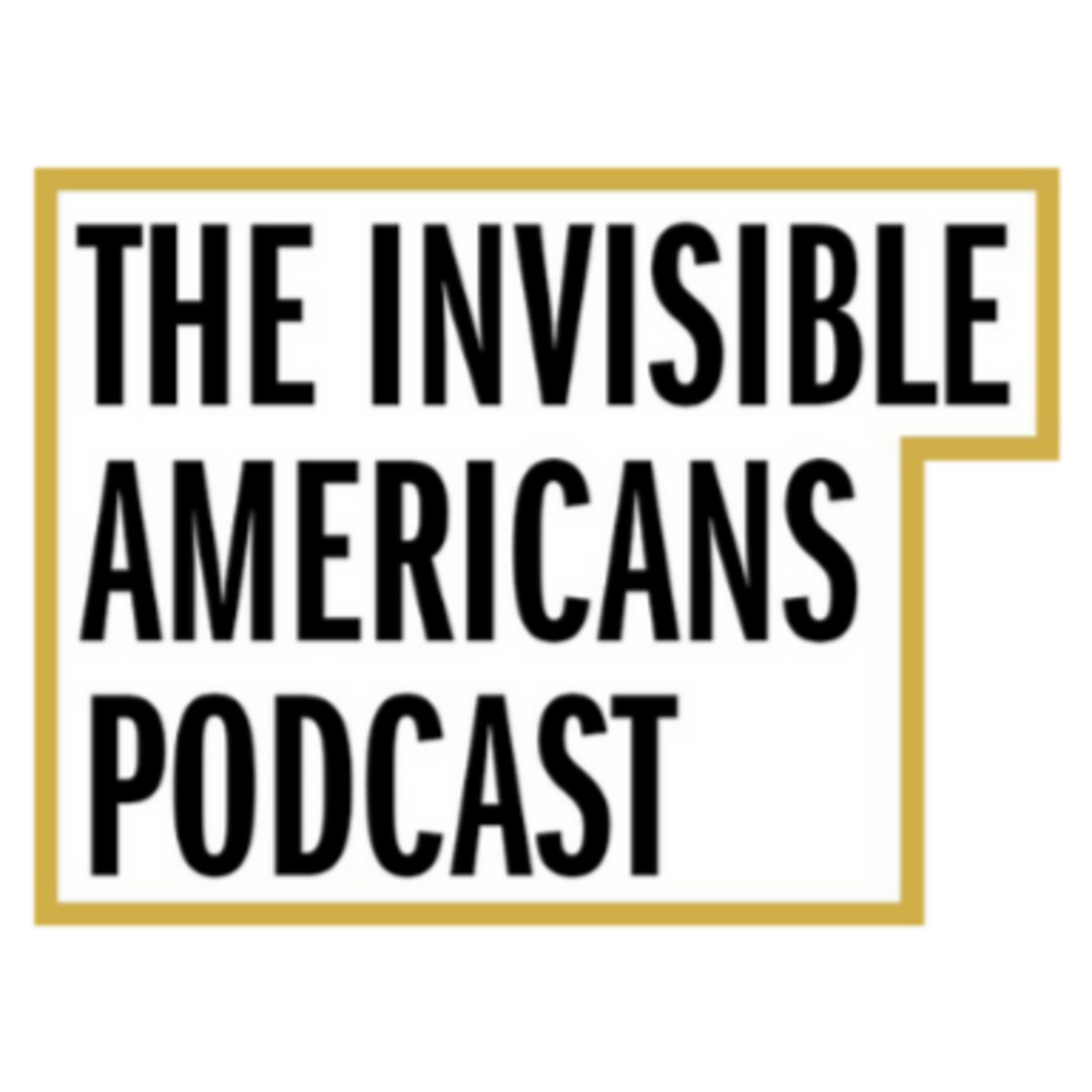 The Invisible Americans