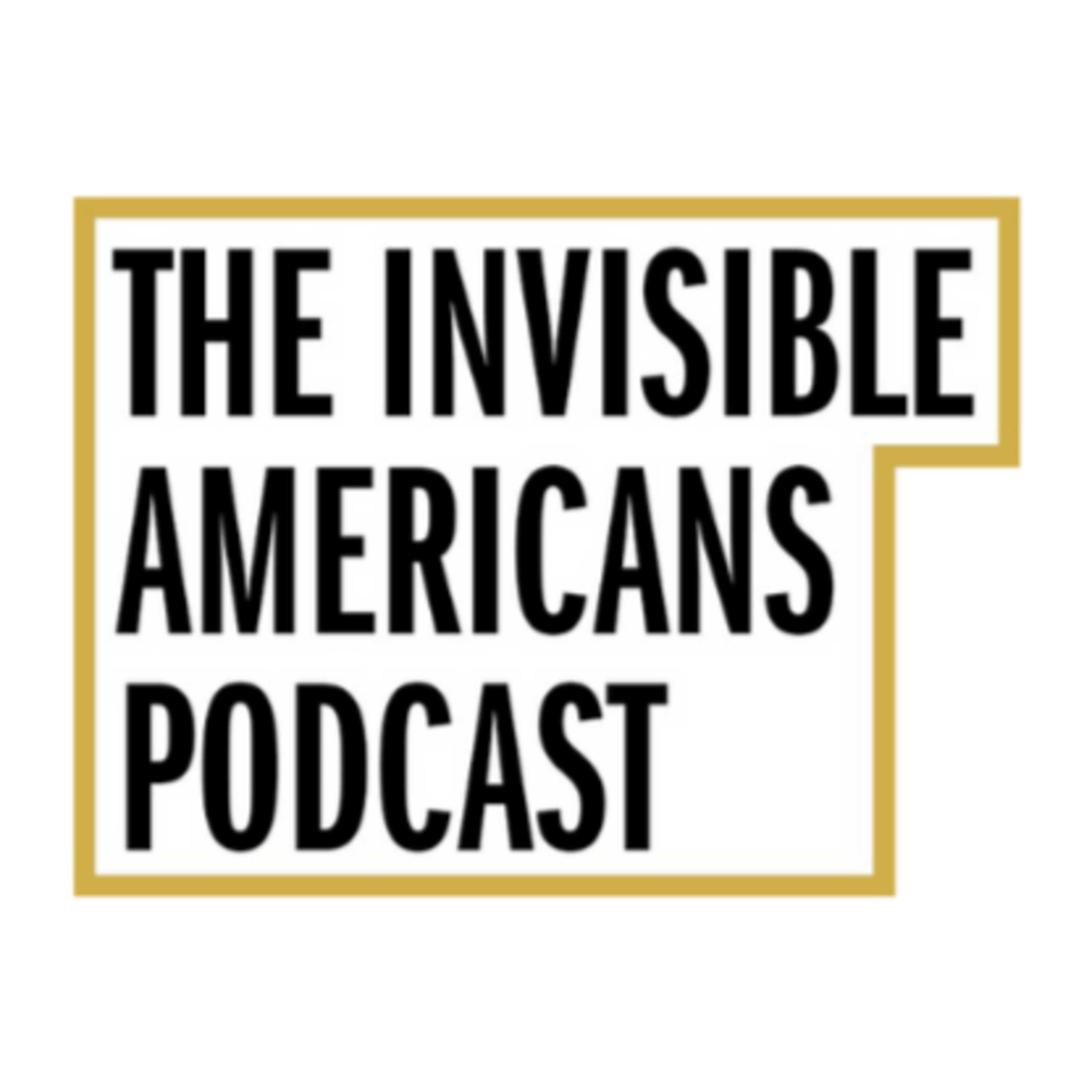 The Invisible Americans