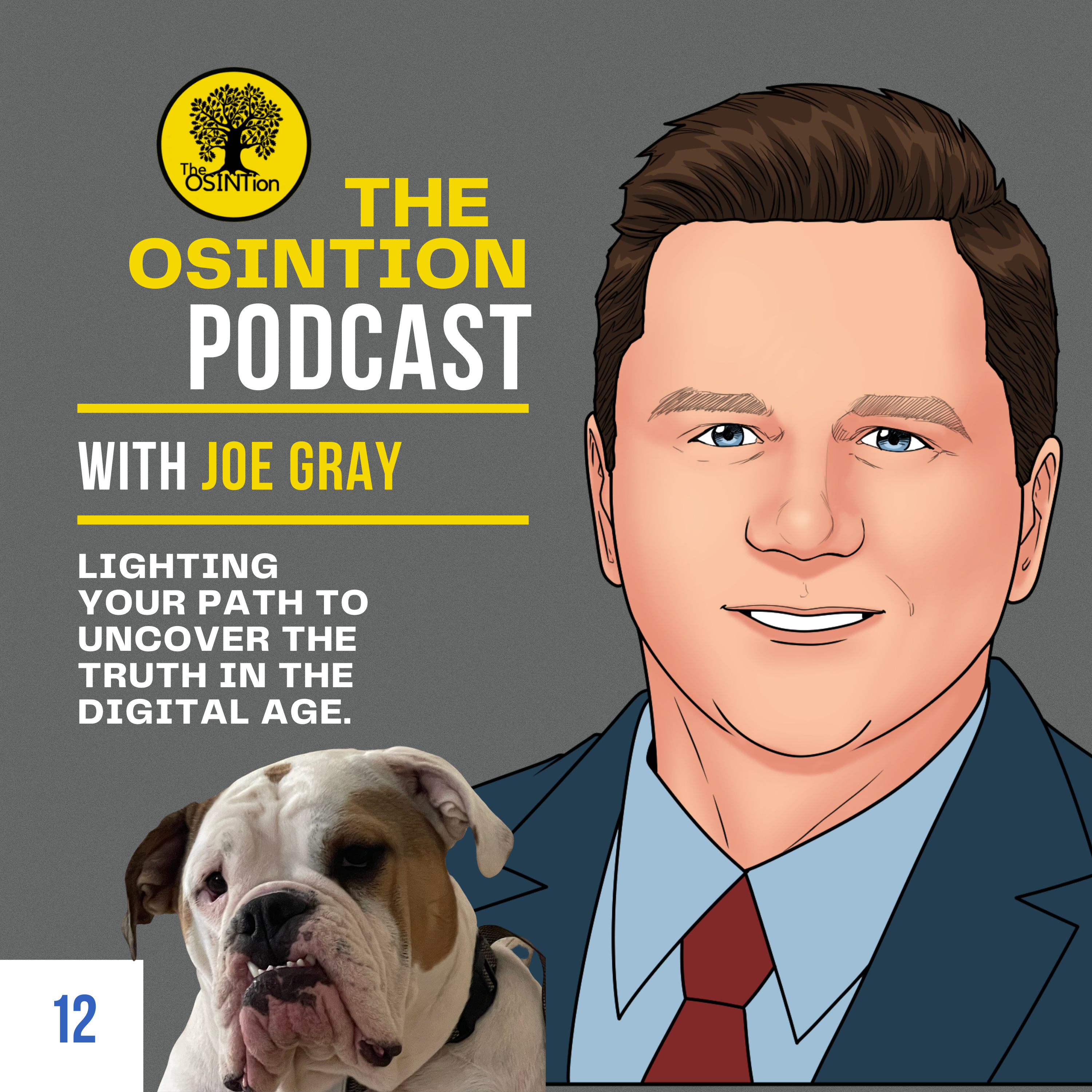 The OSINTion