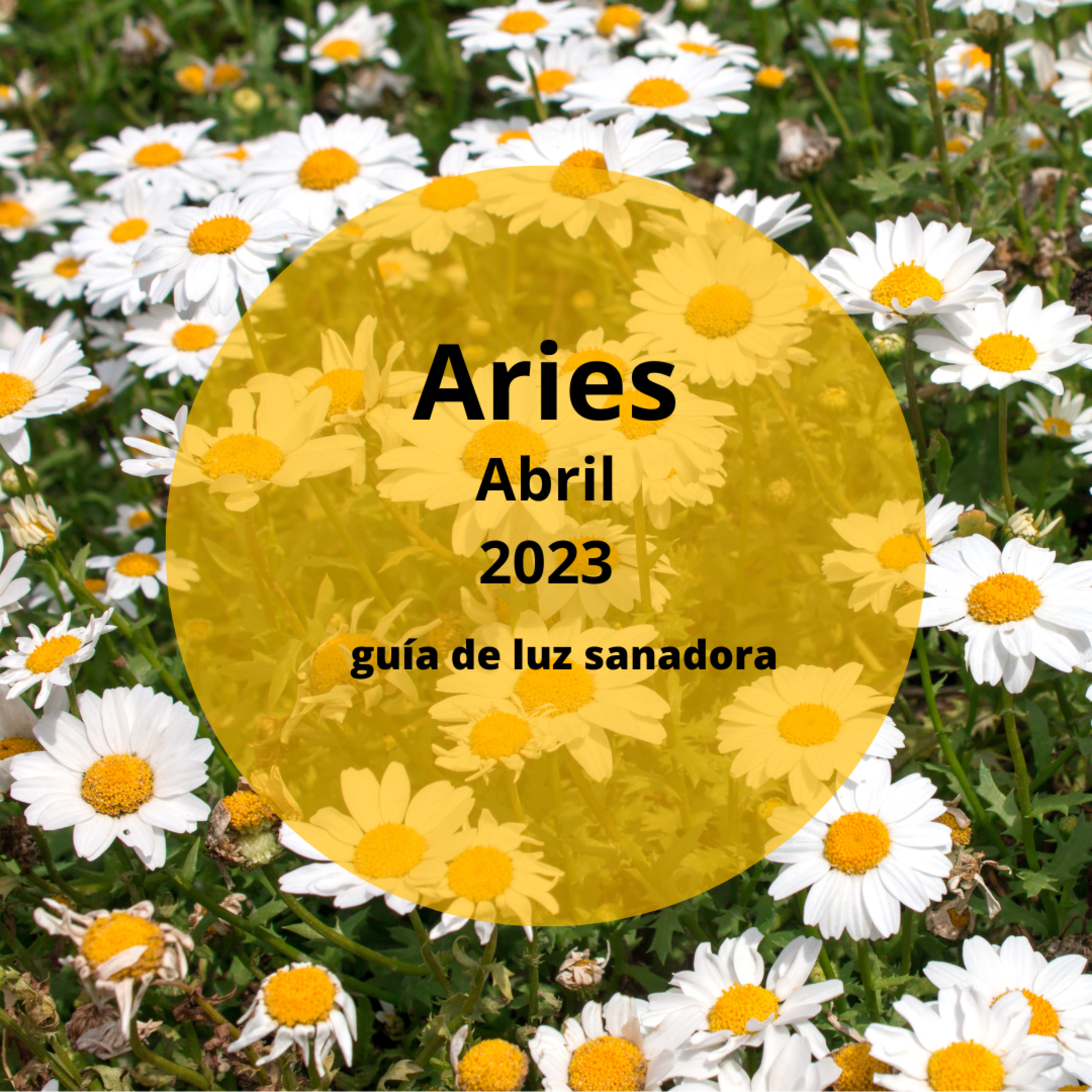 ARIES ABRIL 2023--- Suelta el control y empieza a disfrutar de tus logros episode artwork