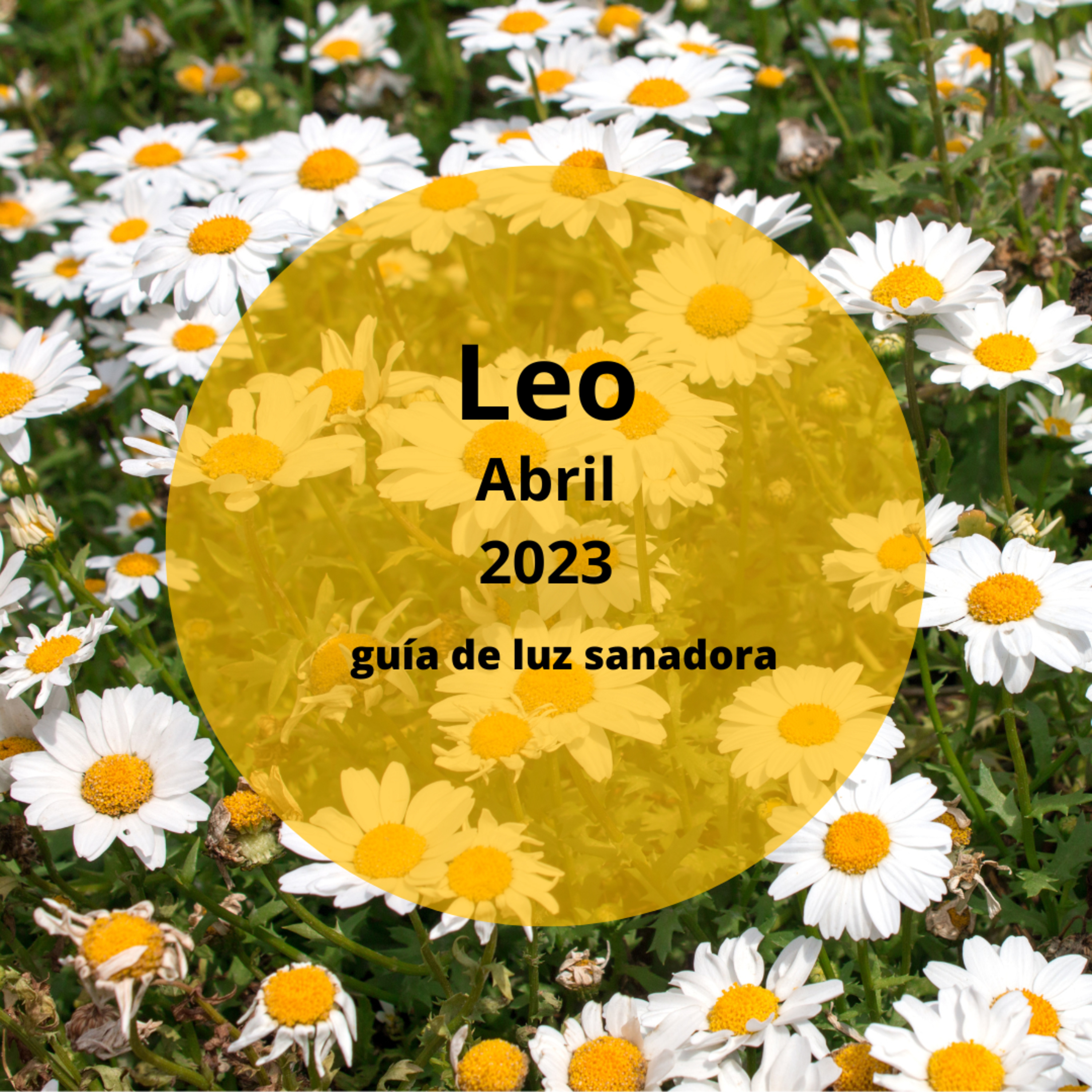 LEO ABRIL 2023--- Liderazgo en el trabajo. Opciones en el amor. episode artwork