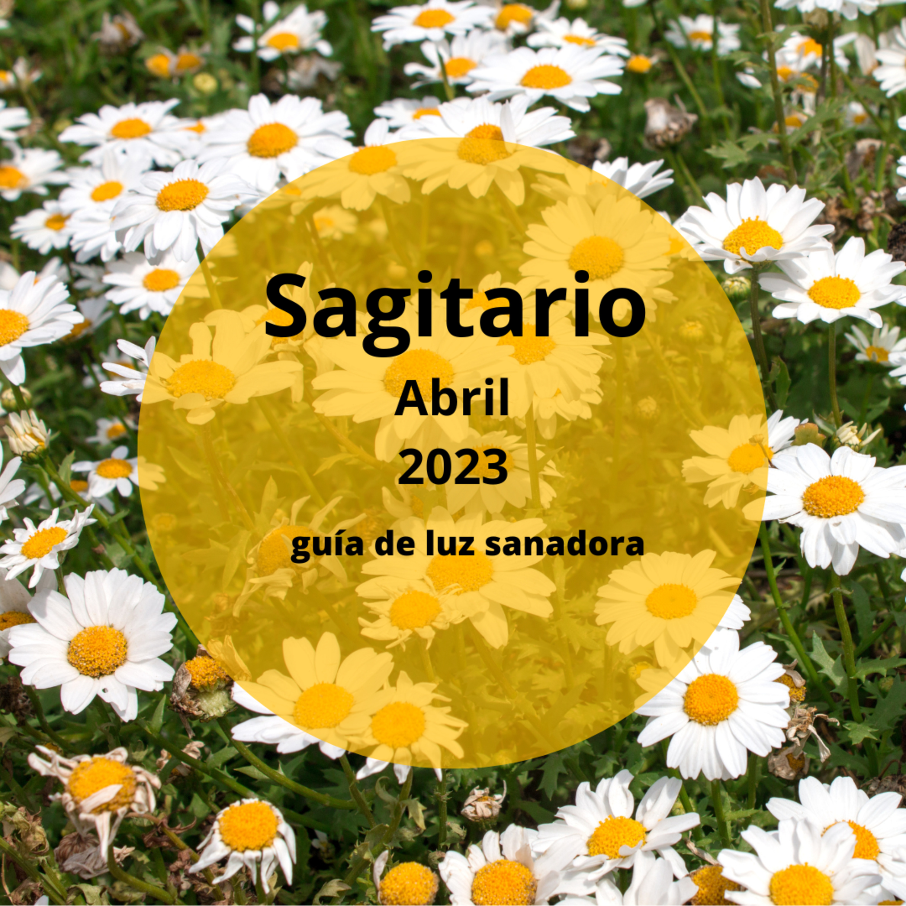 SAGITARIO ABRIL 2023--- Este mes cambia la energía y recibes abundancia. Estarás muy activ@. episode artwork