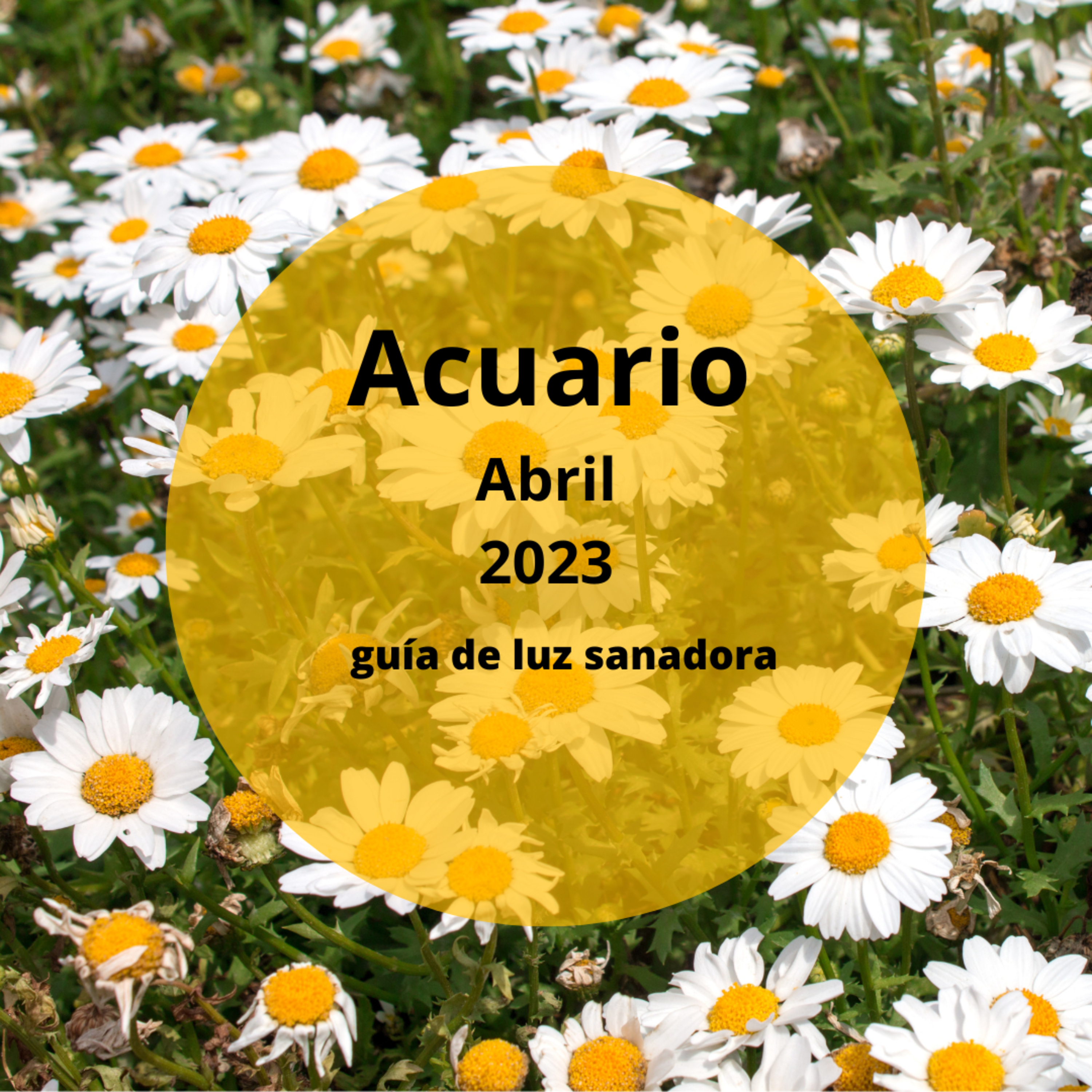 ACUARIO ABRIL 2023--- Una relación comienza de nuevo pero mejorada. Finaliza una situación karmática. episode artwork