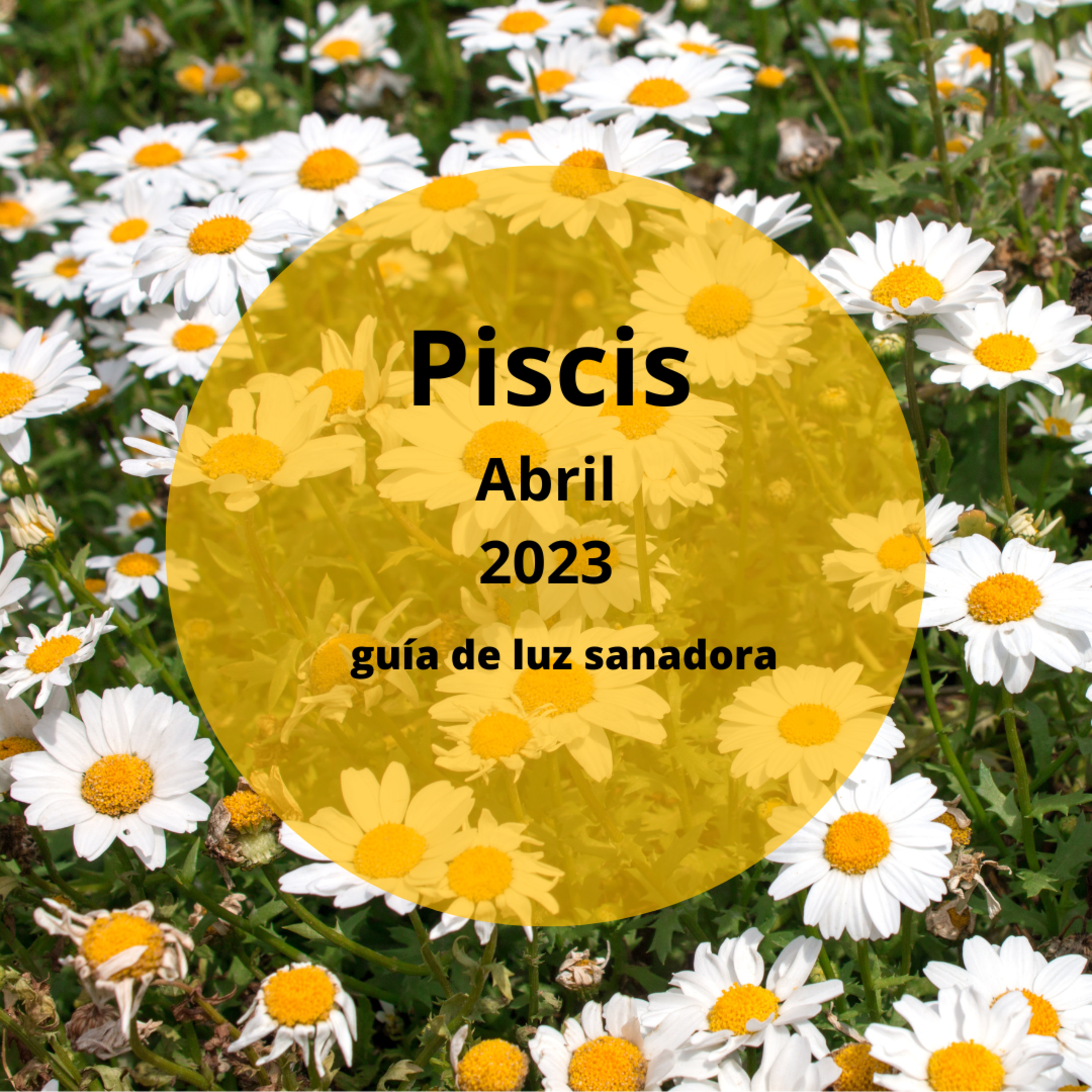 PISCIS ABRIL 2023--- Una relación se consolida si trabajas en ella y sueltas el pasado. episode artwork
