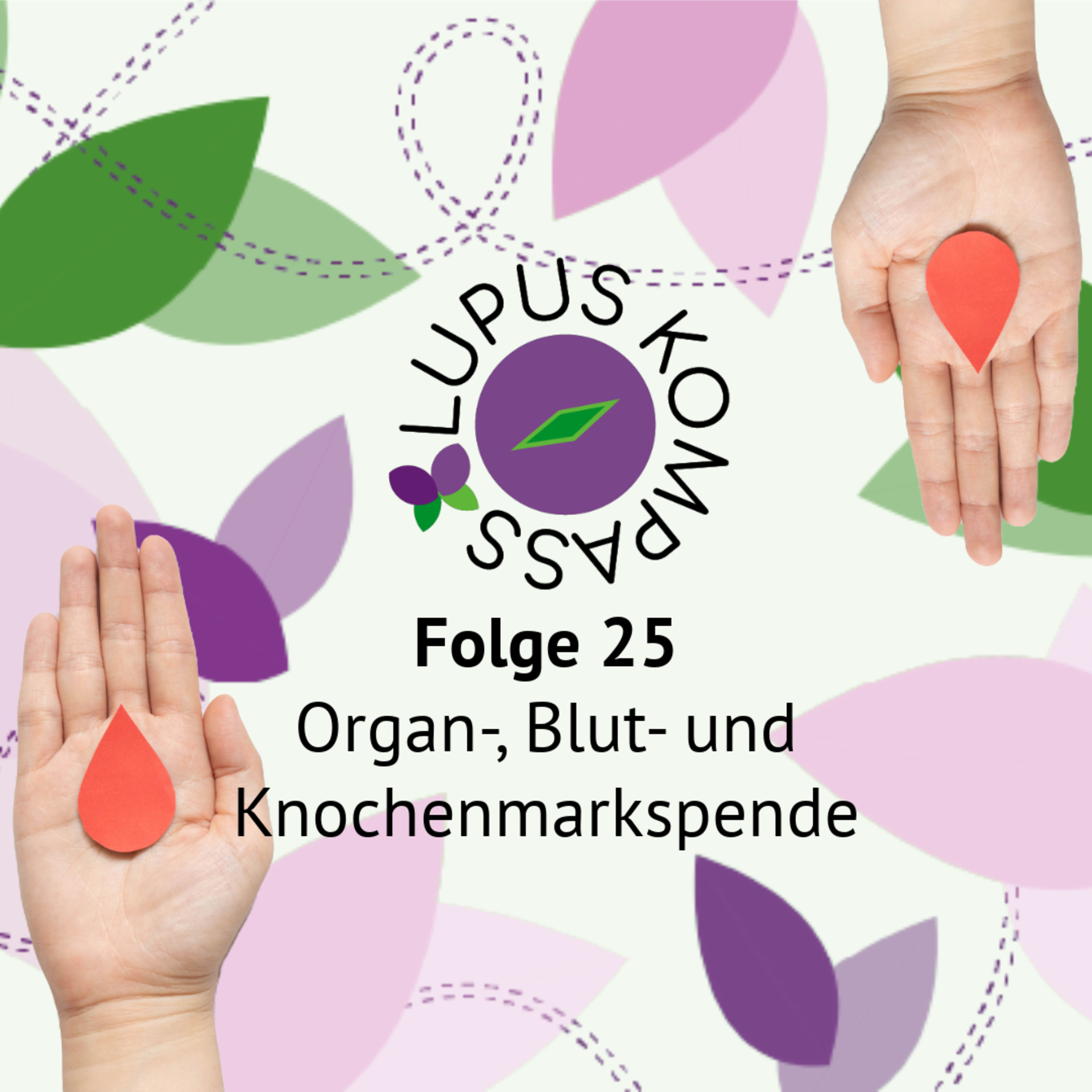 Lupus Kompass