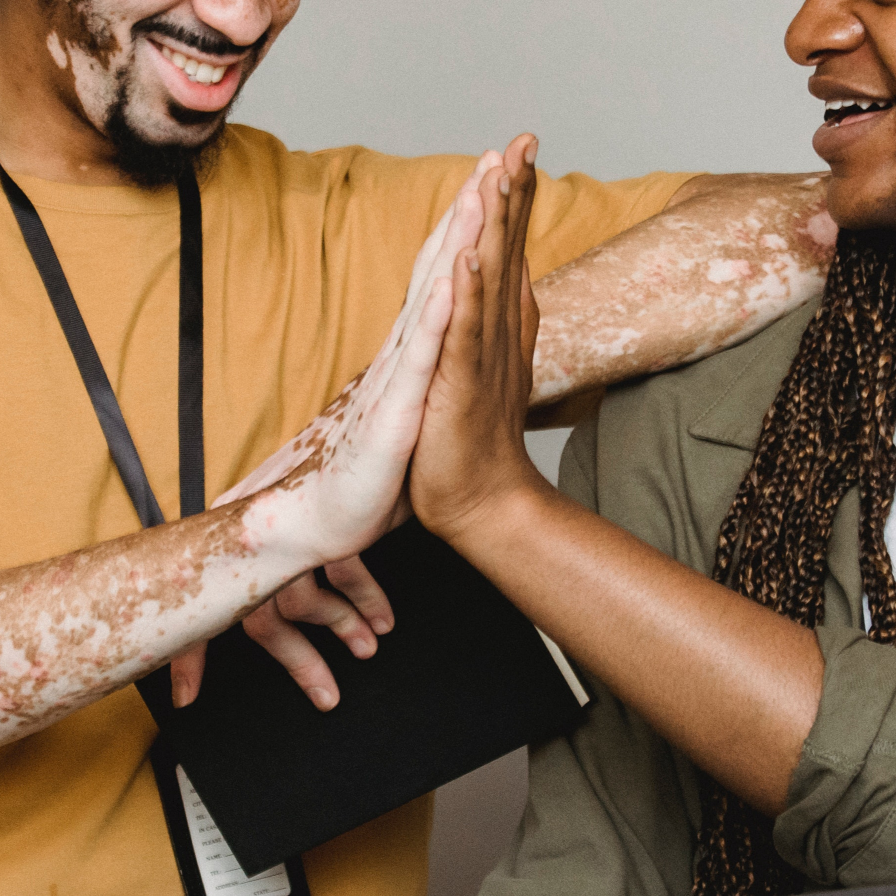 MASTER EN TRANSICIONES