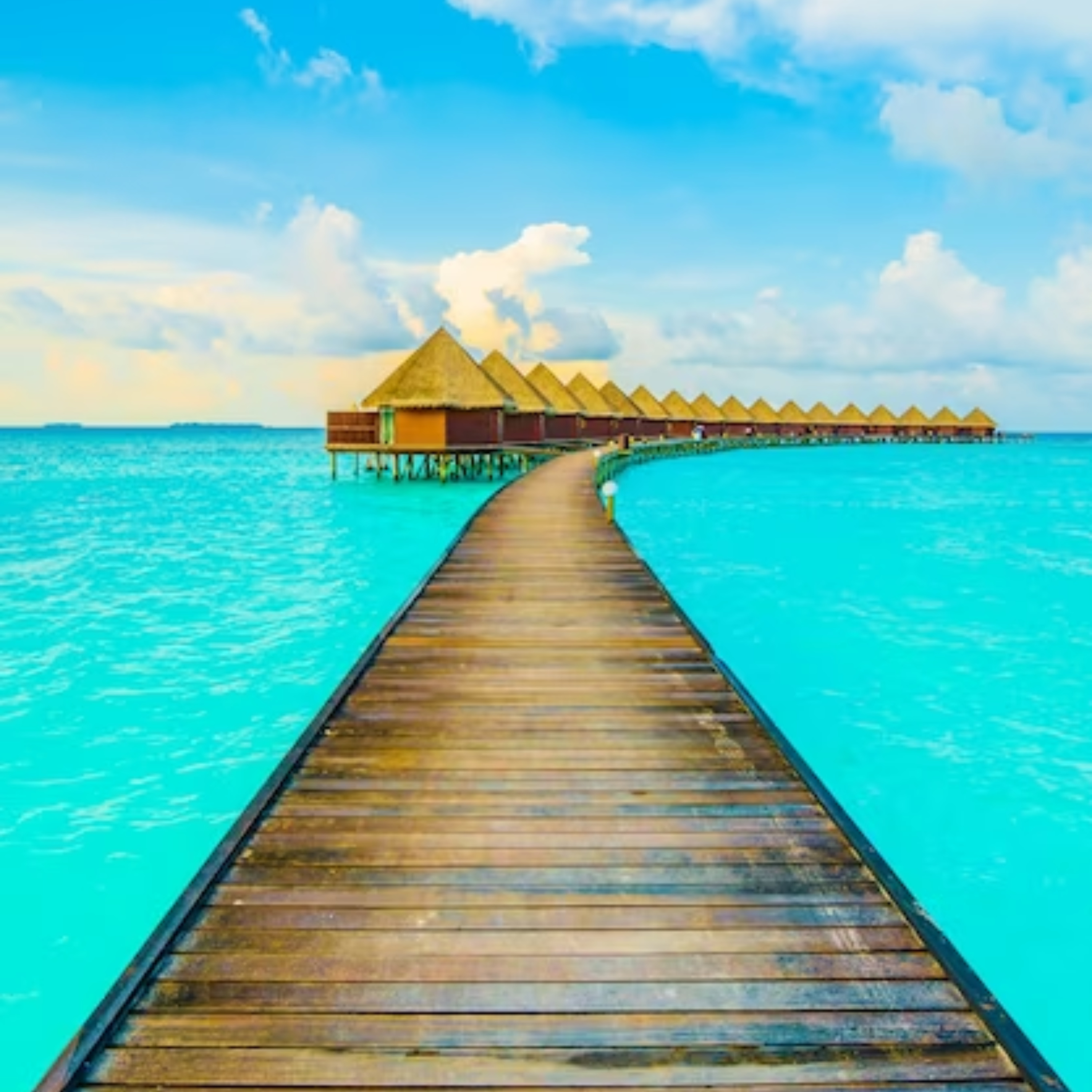 MASTER EN TRANSICIONES