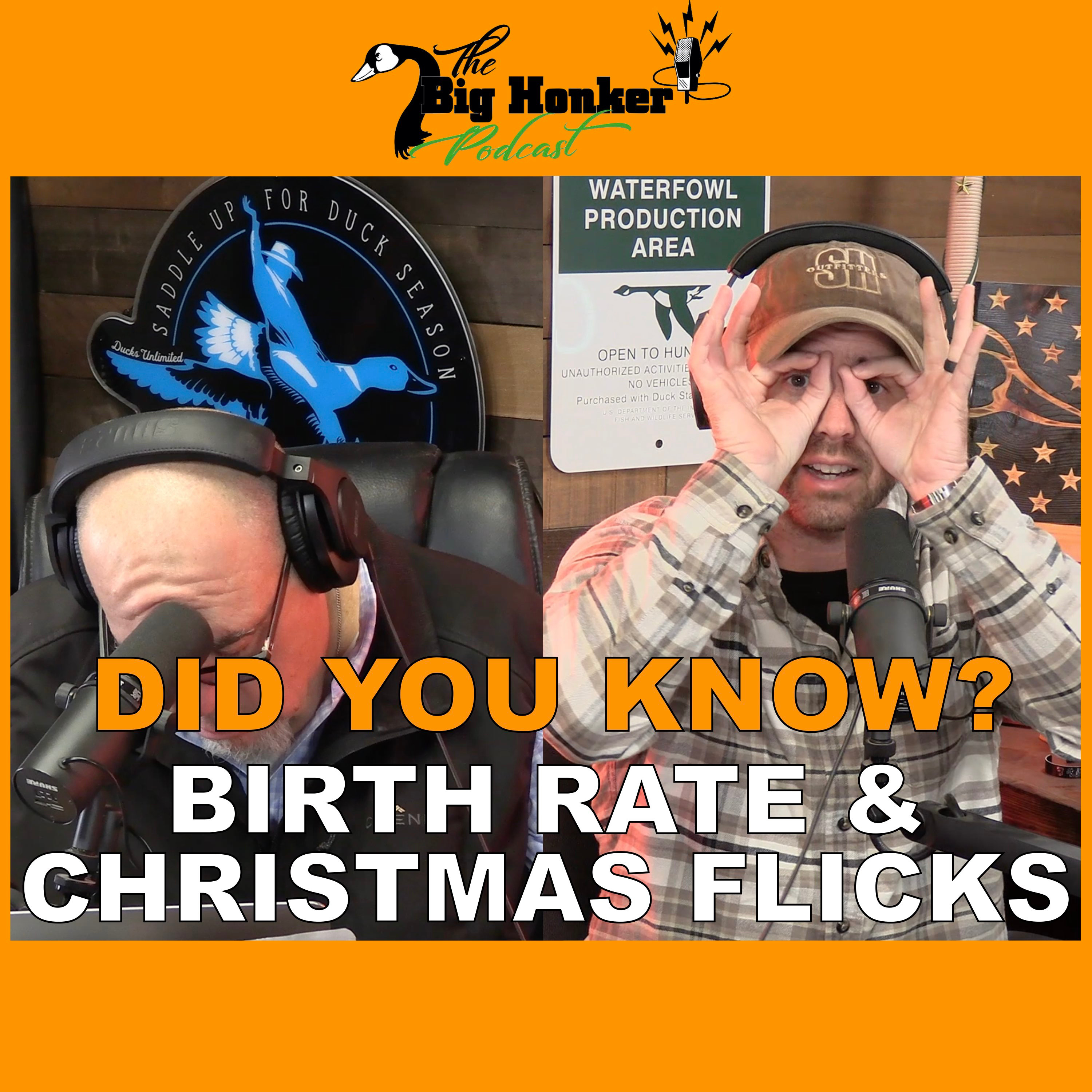 🚨 DID YOU KNOW? 🚨Birth Rate & Christmas Flicks