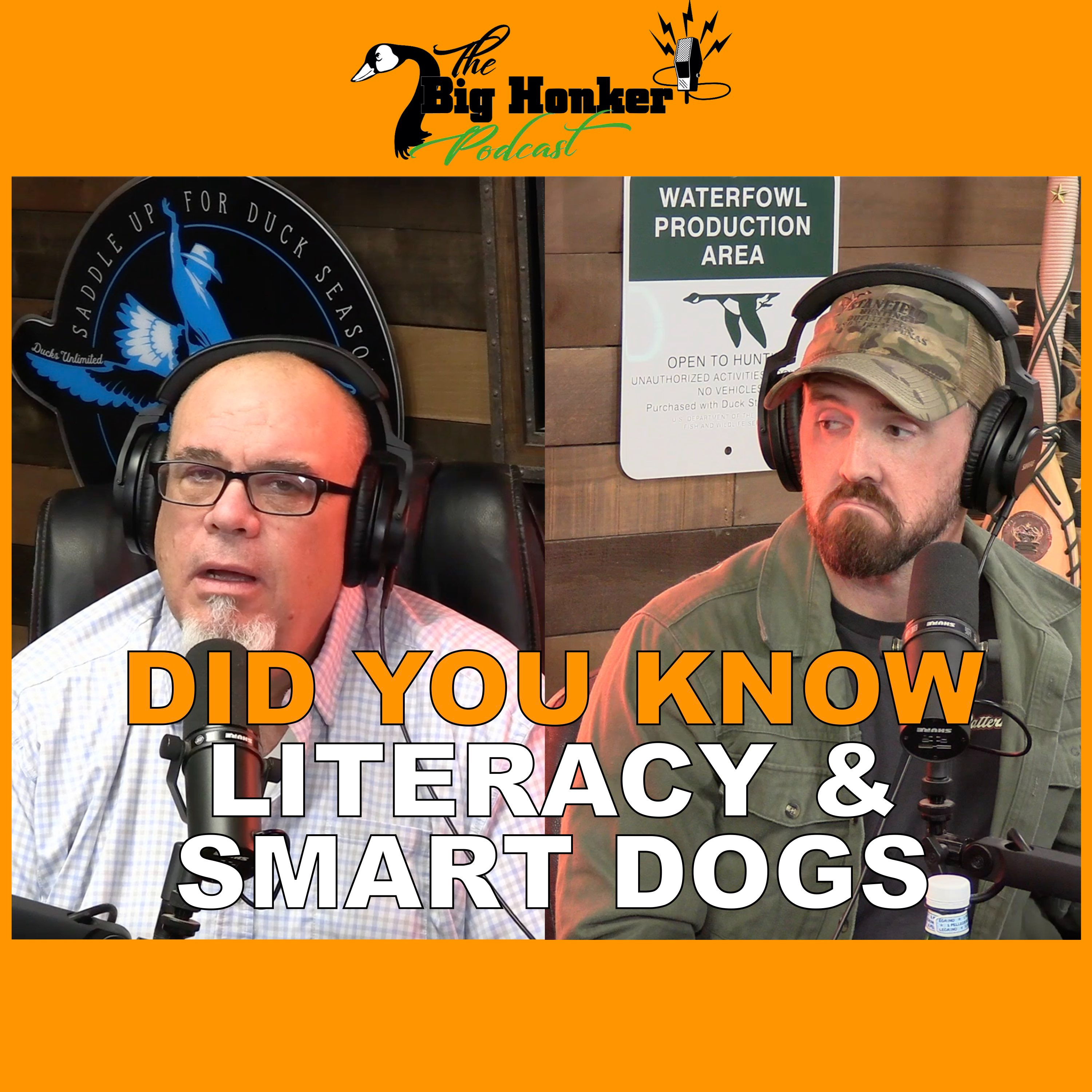 🚨 DID YOU KNOW? 🚨Literacy & Smart Dogs