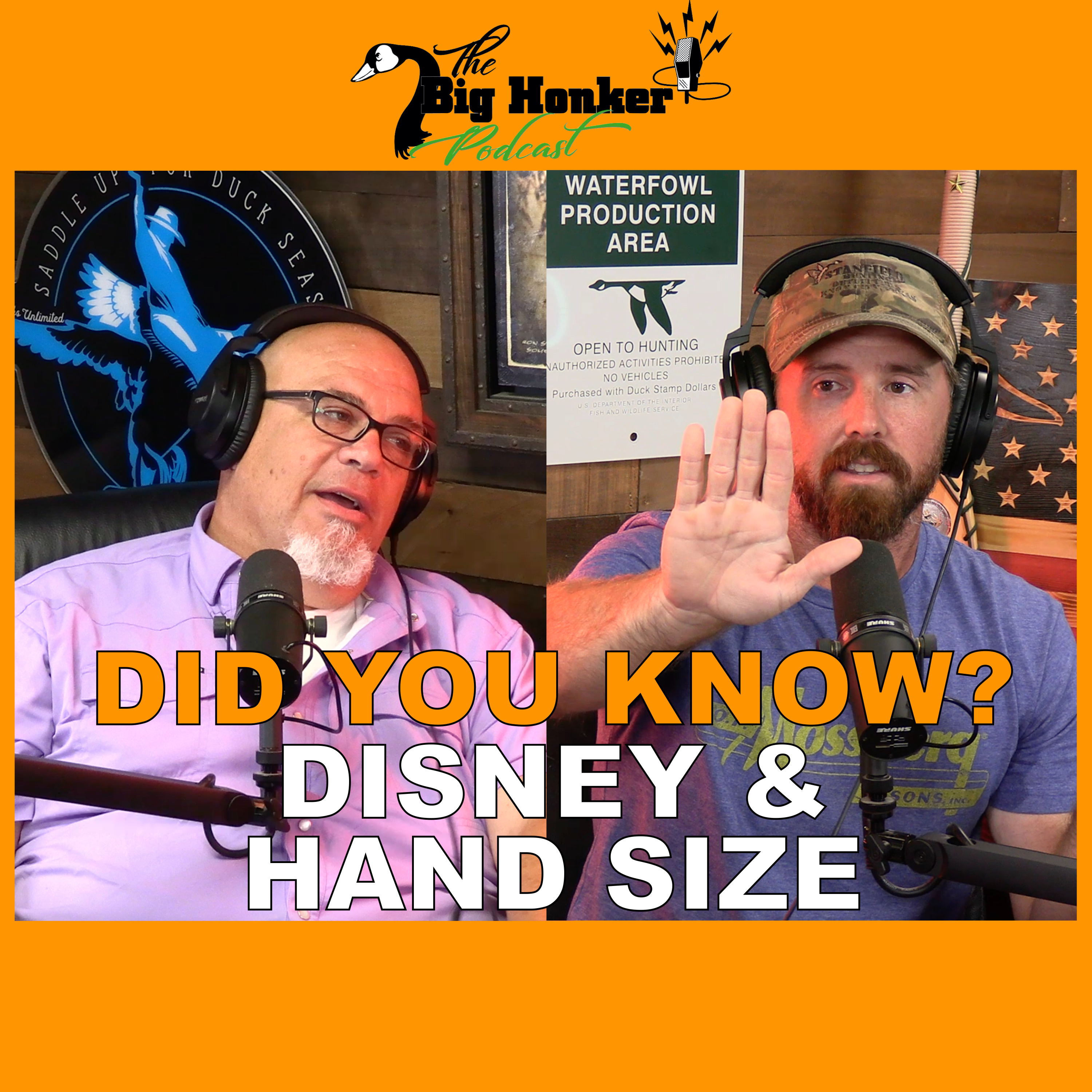 🚨 DID YOU KNOW? 🚨Disney & Hand Size