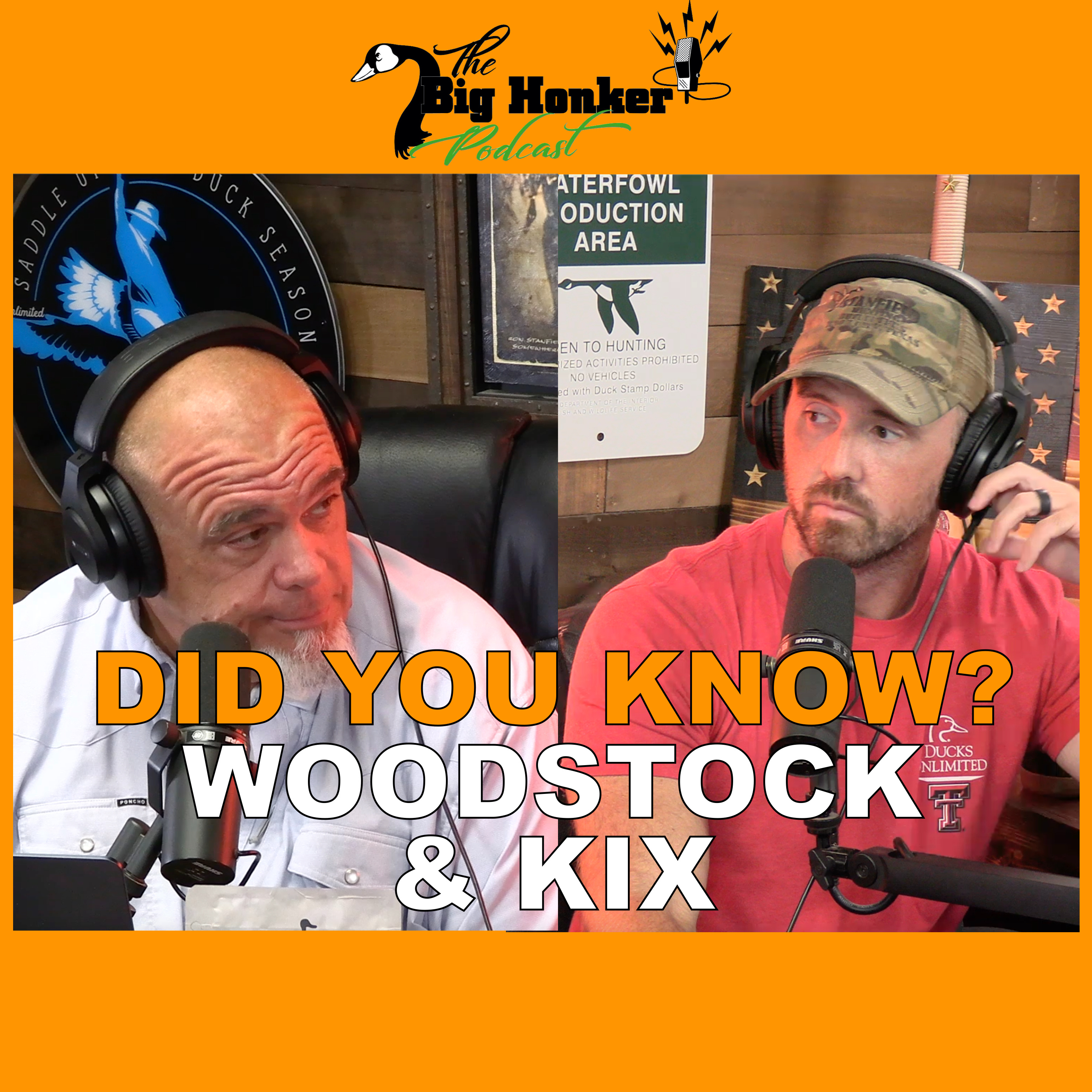 🚨 DID YOU KNOW? 🚨Woodstock & Kix