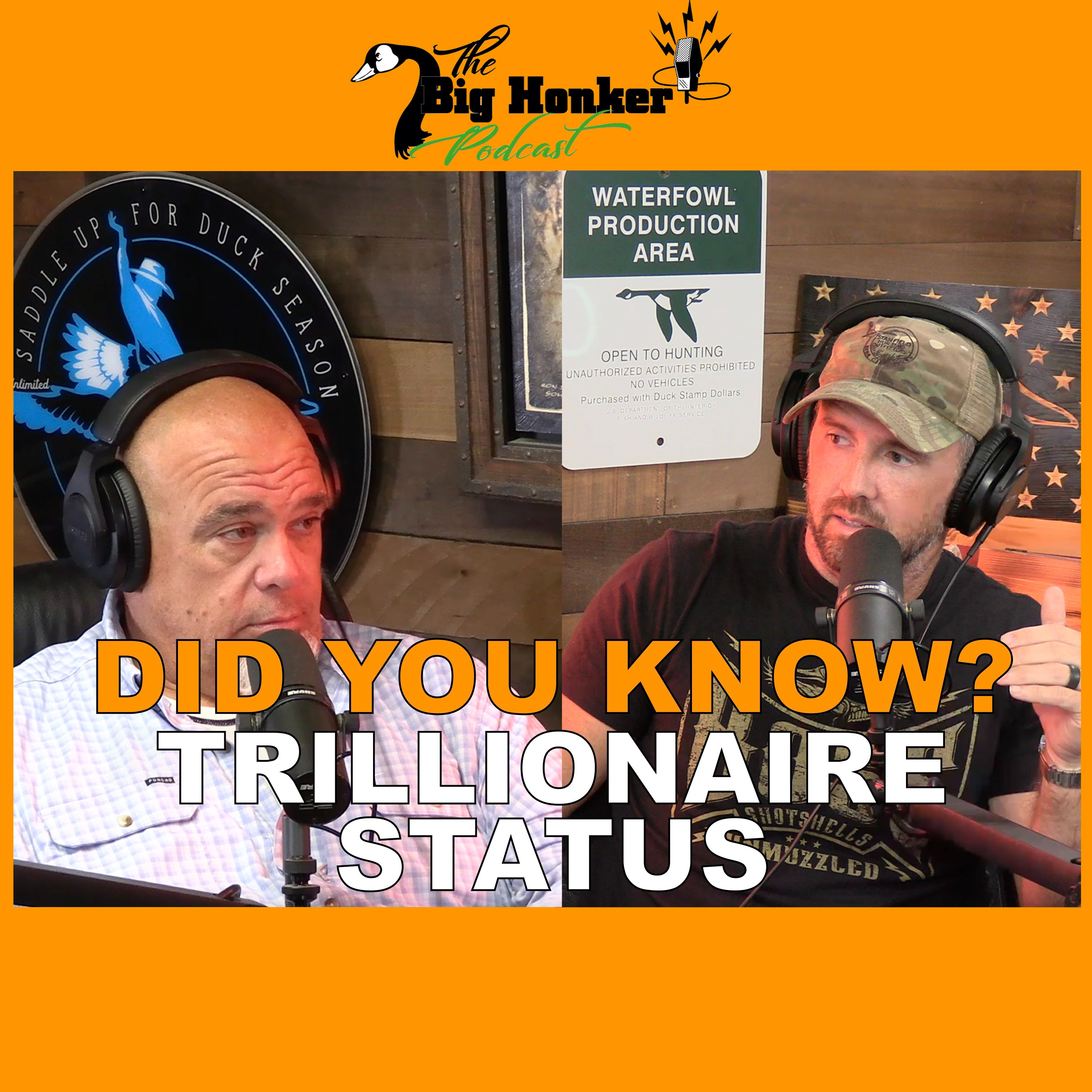 🚨 DID YOU KNOW? 🚨Trillionaire Status episode artwork