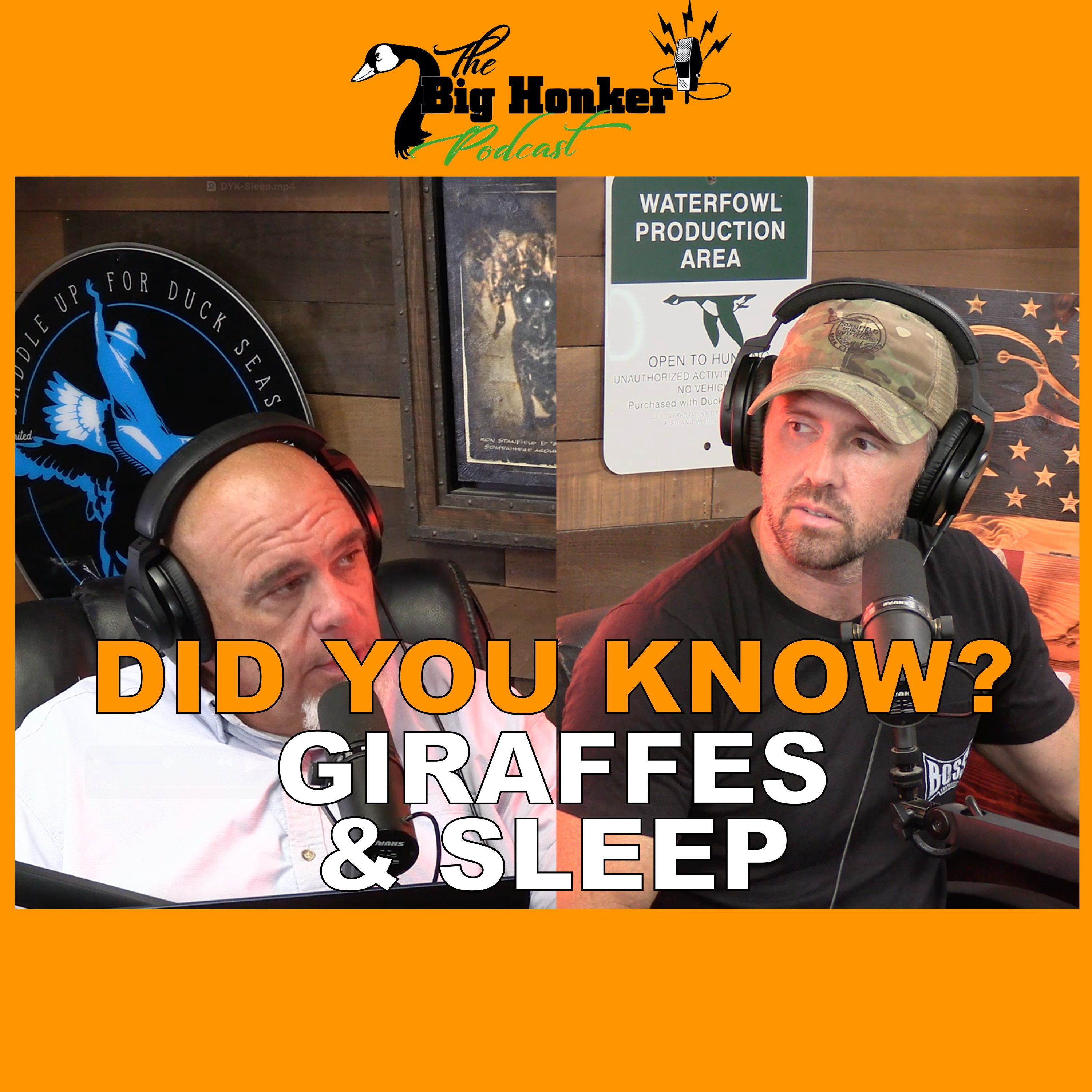 🚨 DID YOU KNOW? 🚨Giraffes & Sleep episode artwork