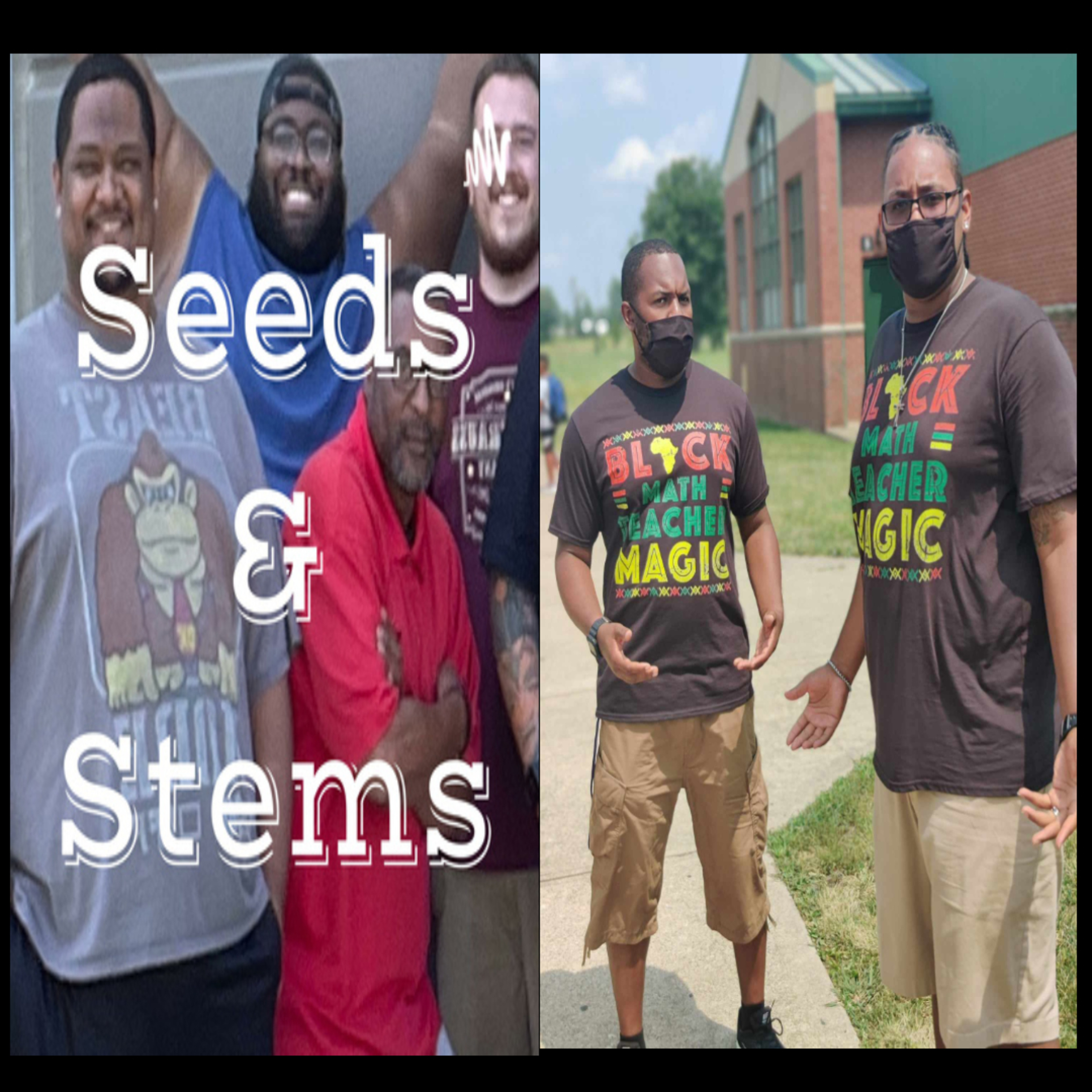 Seeds & Stems