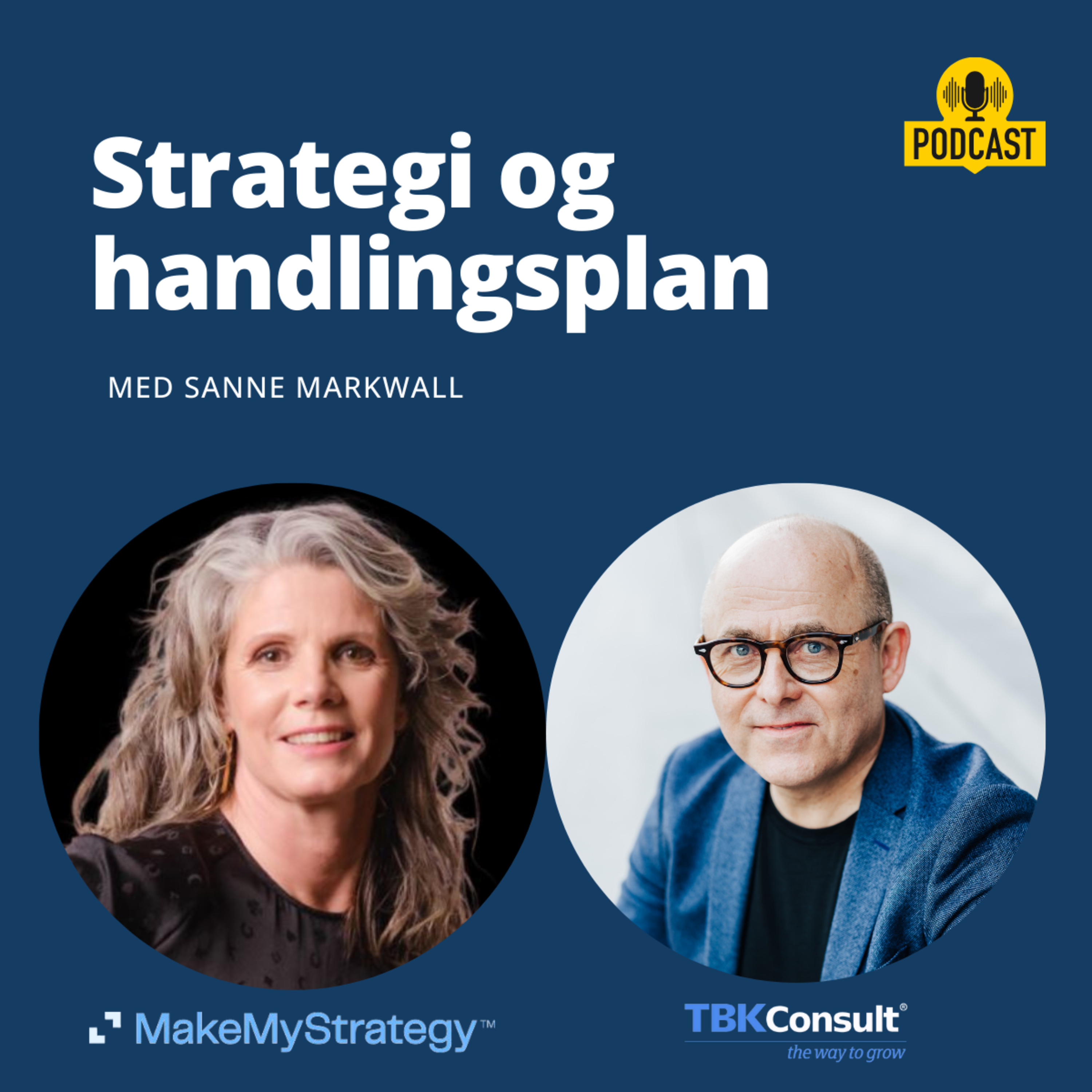 INTERNATIONAL VÆKST AF SOFTWAREVIRKSOMHEDER