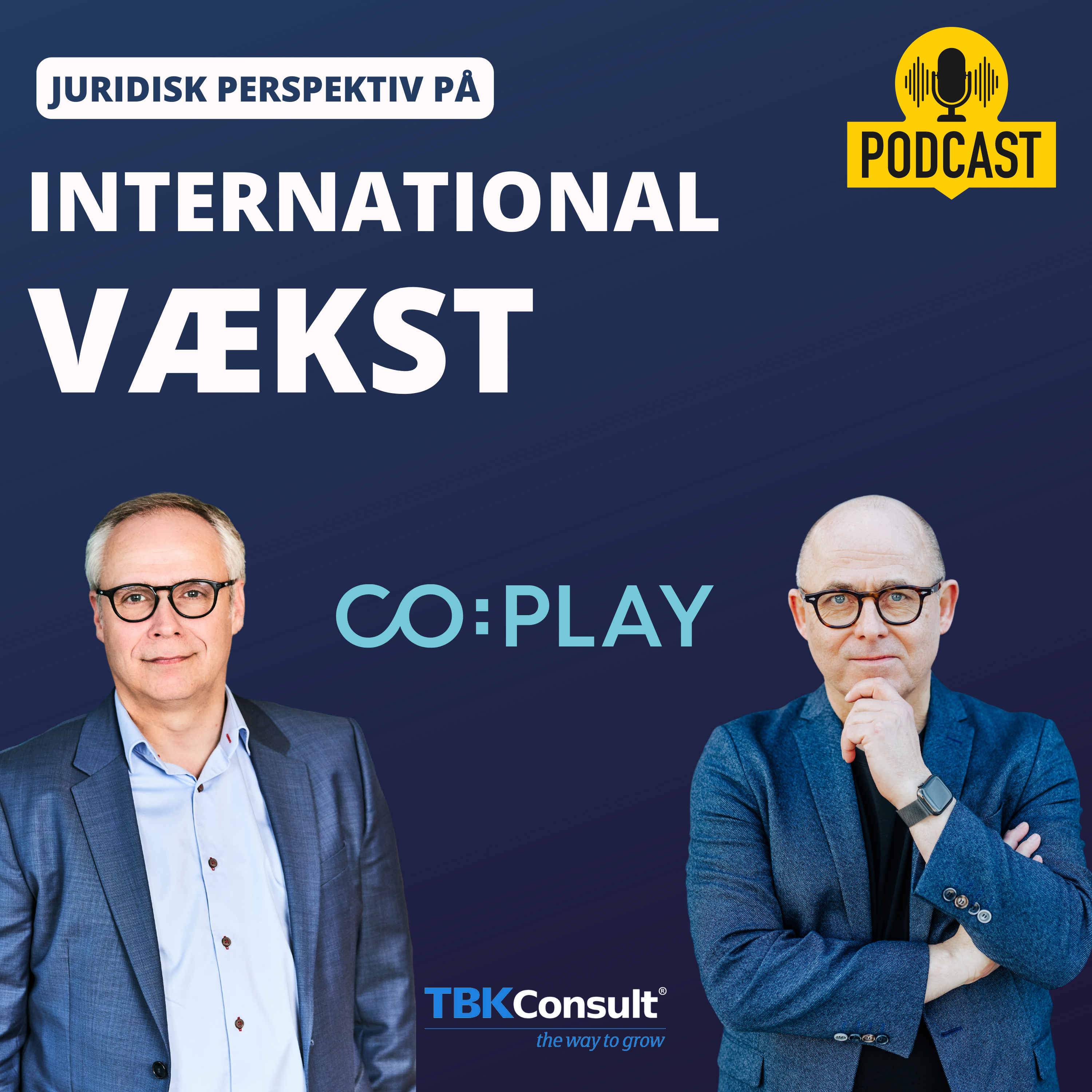 INTERNATIONAL VÆKST AF SOFTWAREVIRKSOMHEDER