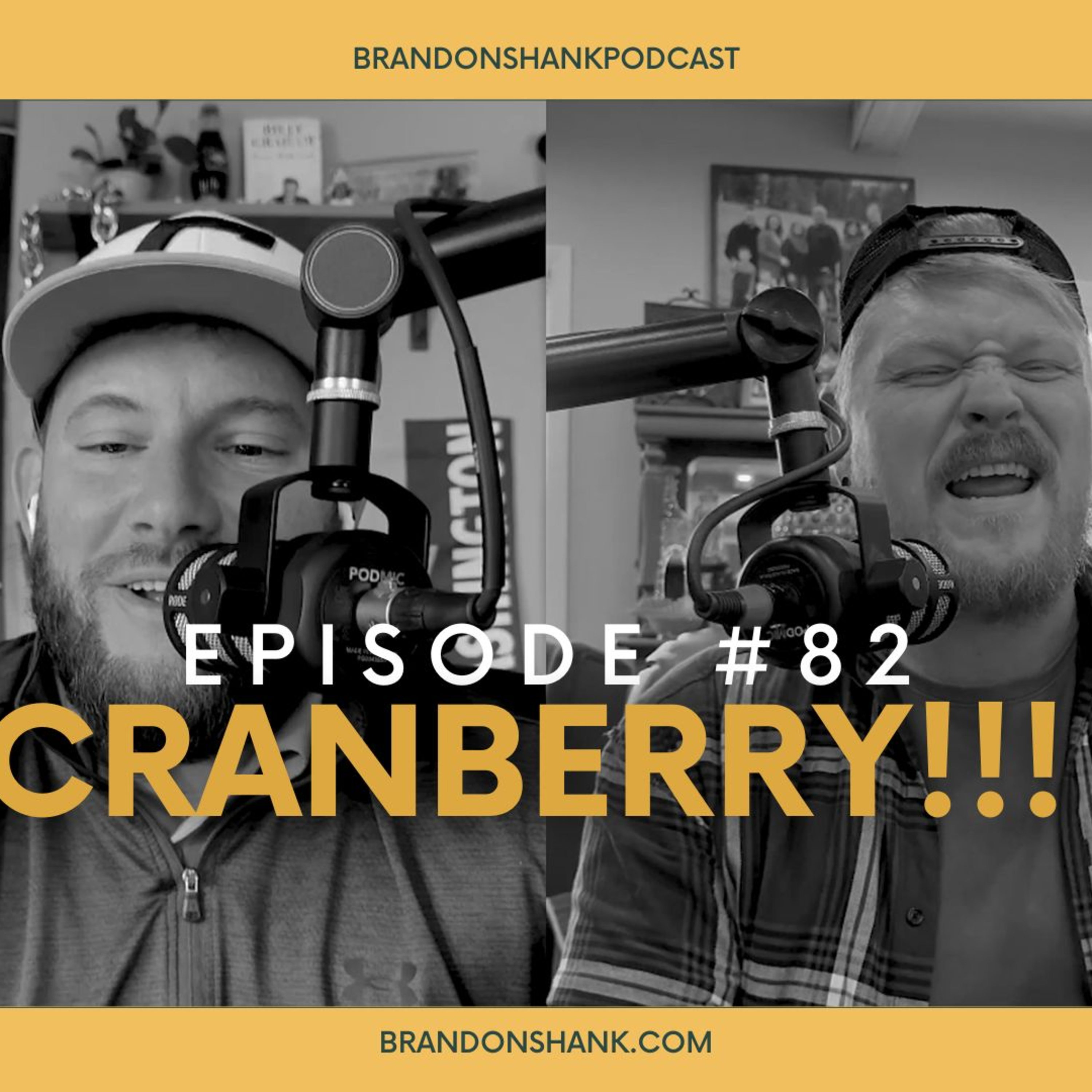 Episode #82 | CRANBERRY!!! episode artwork