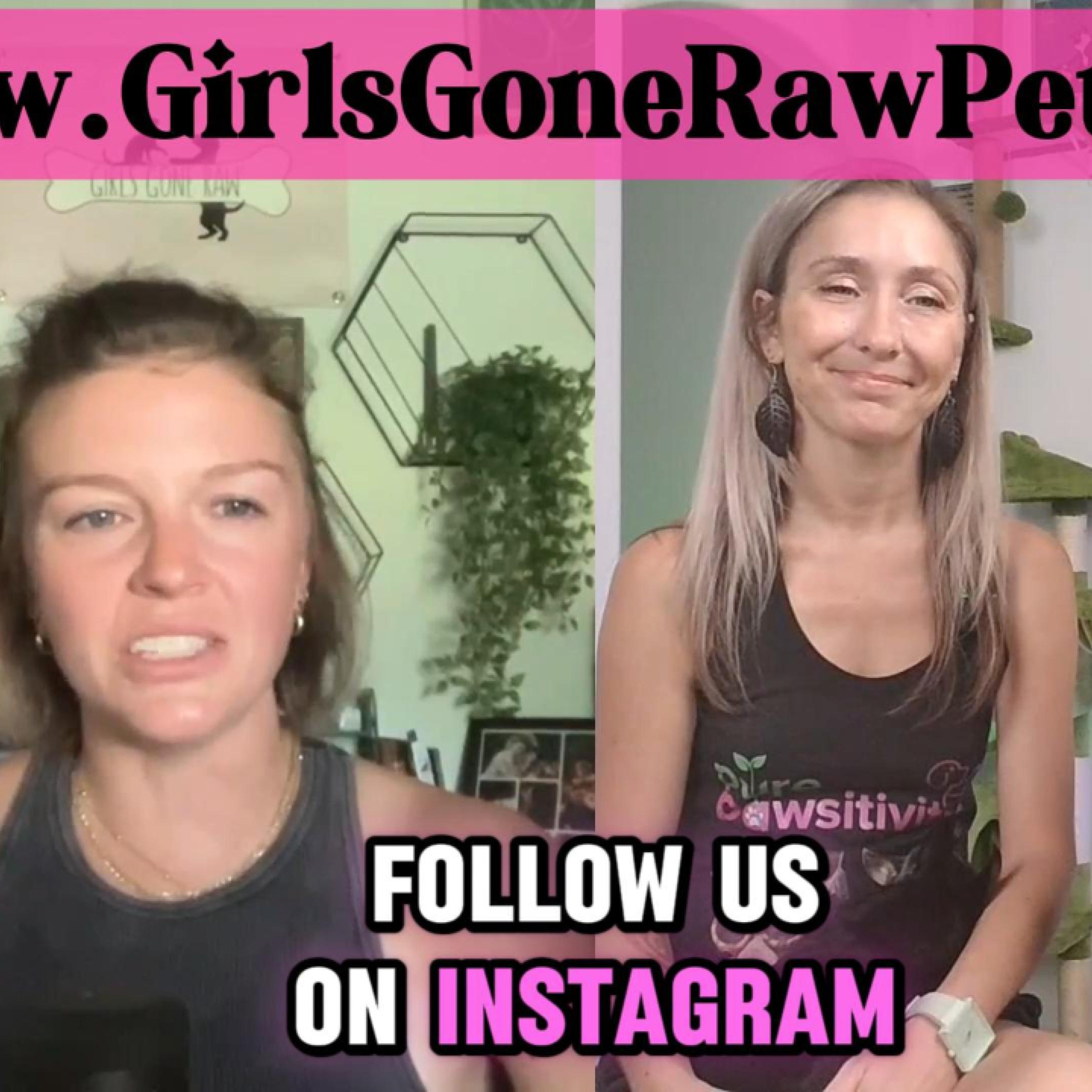 Born to Be #RAW-Girls Gone Raw #pet @PurePawsitivity Podcast! #Petwellness #dogs #cats #healthypets episode artwork