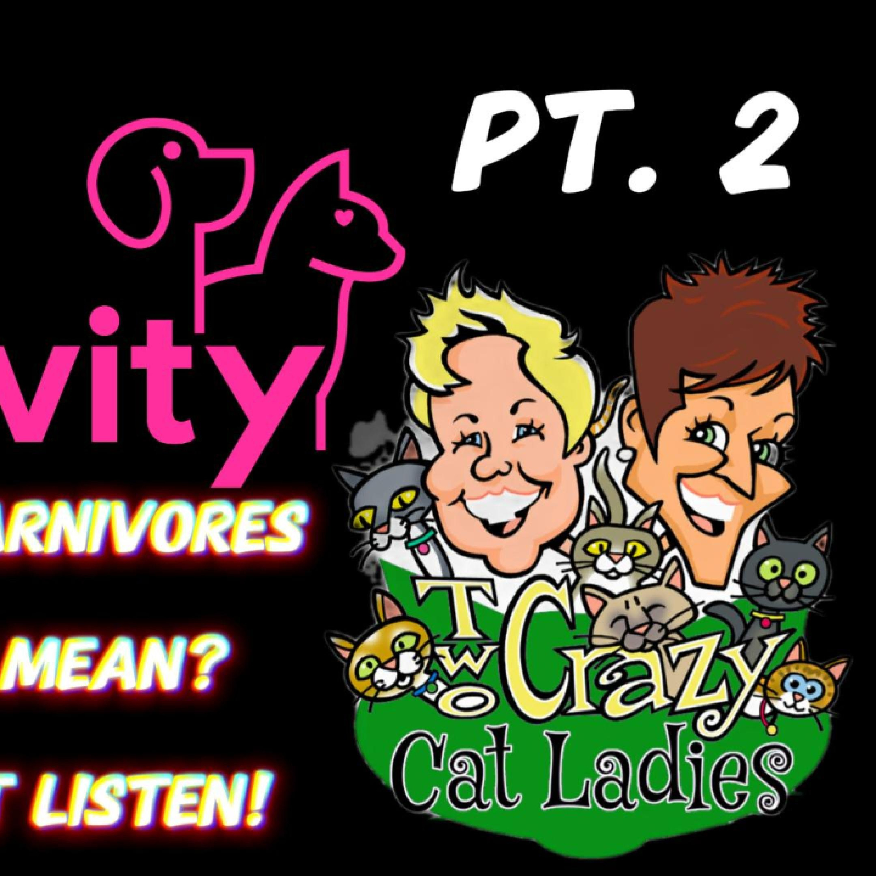 Pure Pawsitivity x ⁨@Twocrazycatladiesofficial⁩  | PART TWO: A MUST-WATCH FOR EVERY CAT GUARDIAN 🐈