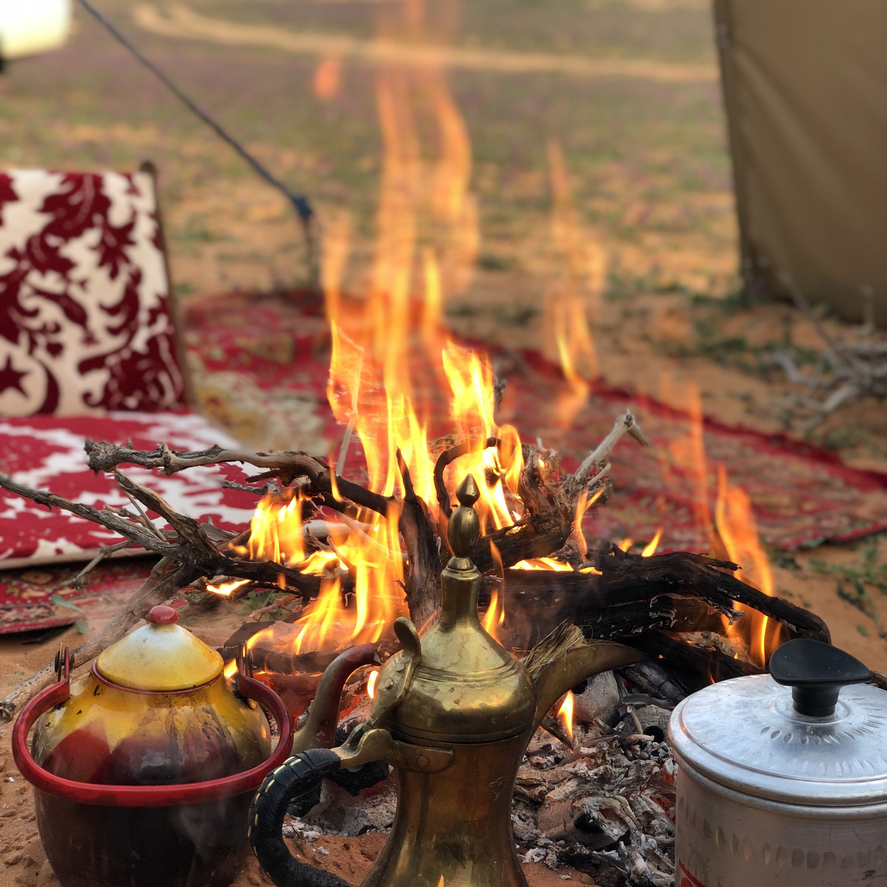 القهوة صايدة 