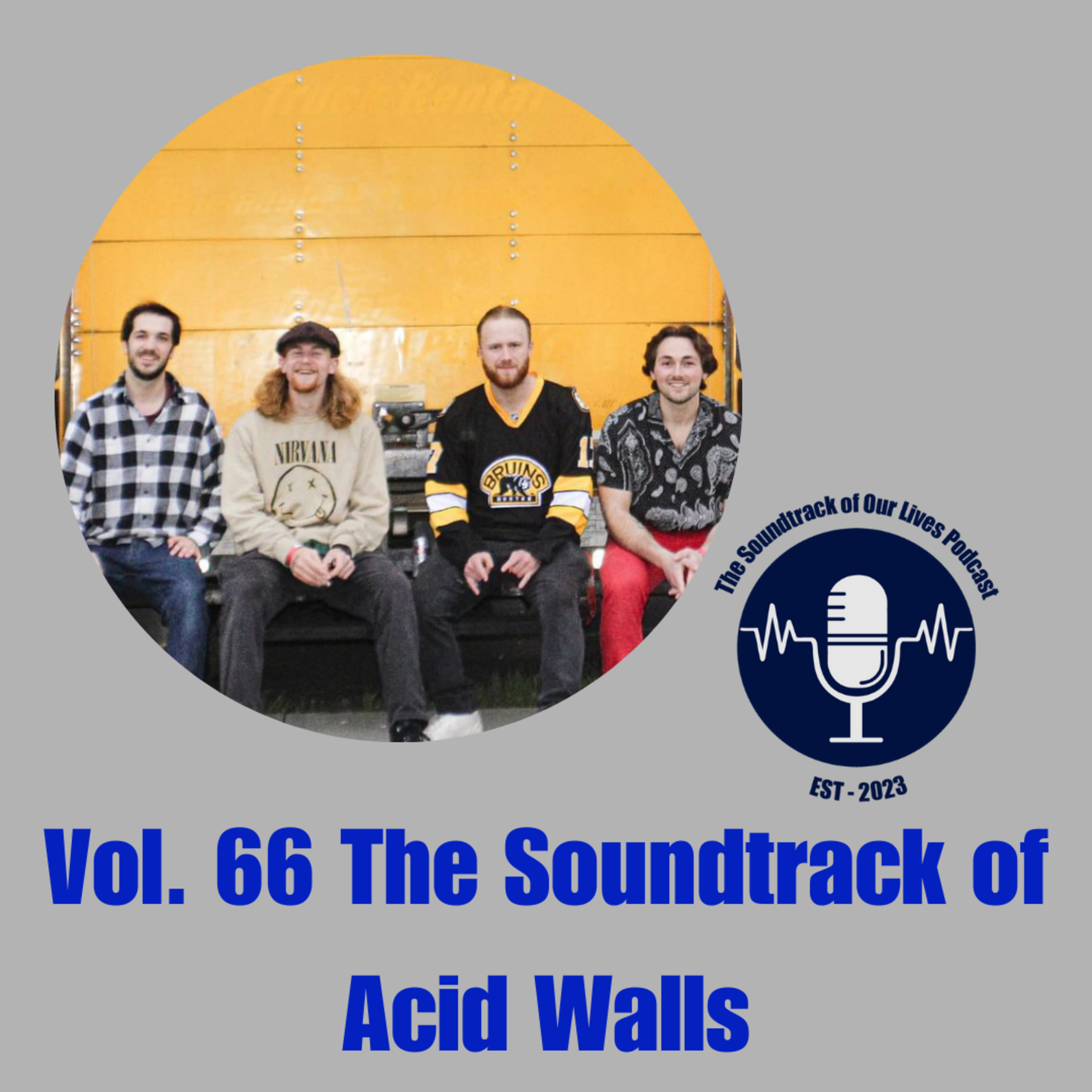Vol. 66 The Soundtrack of Acid Walls