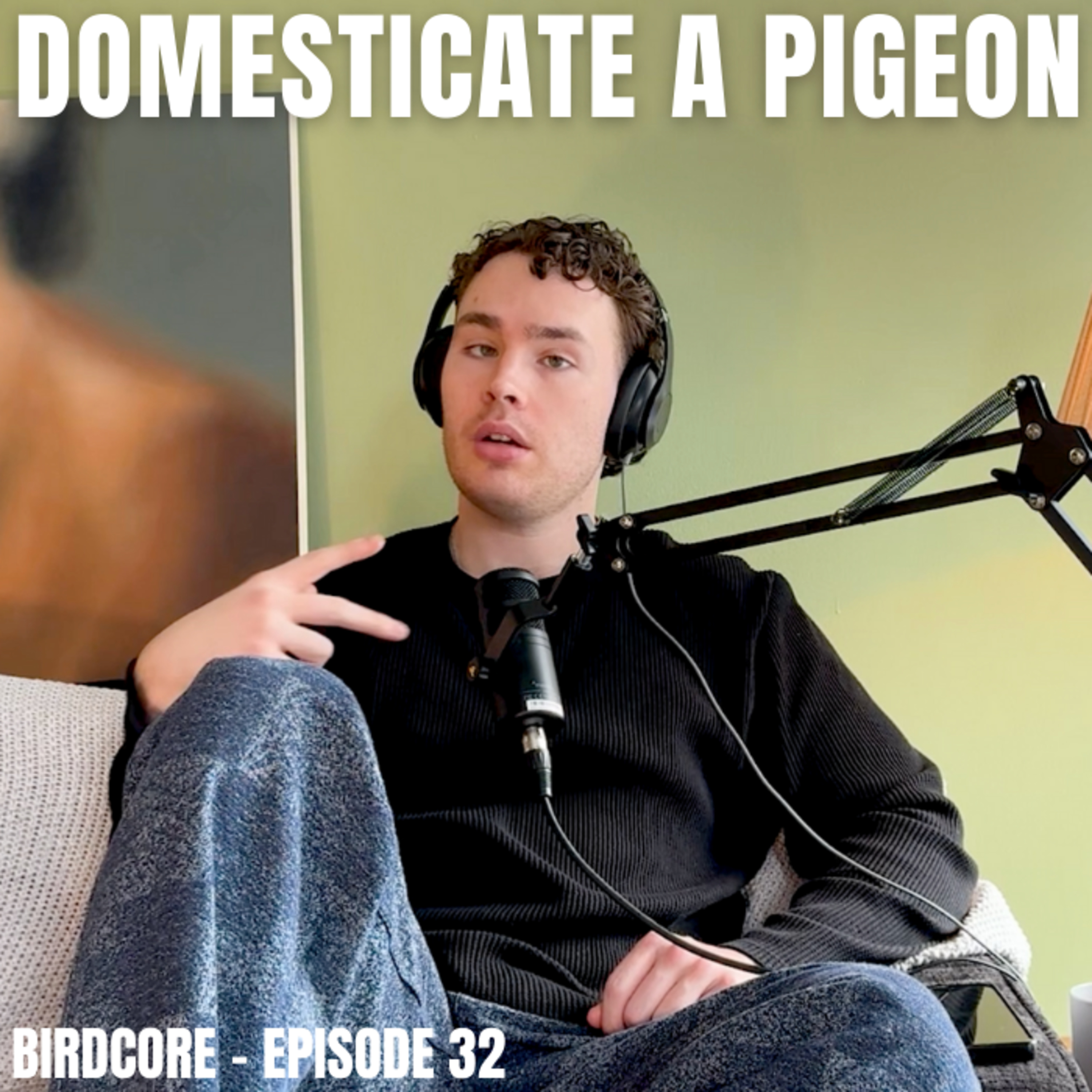 E32 - Domesticate a Pigeon episode artwork