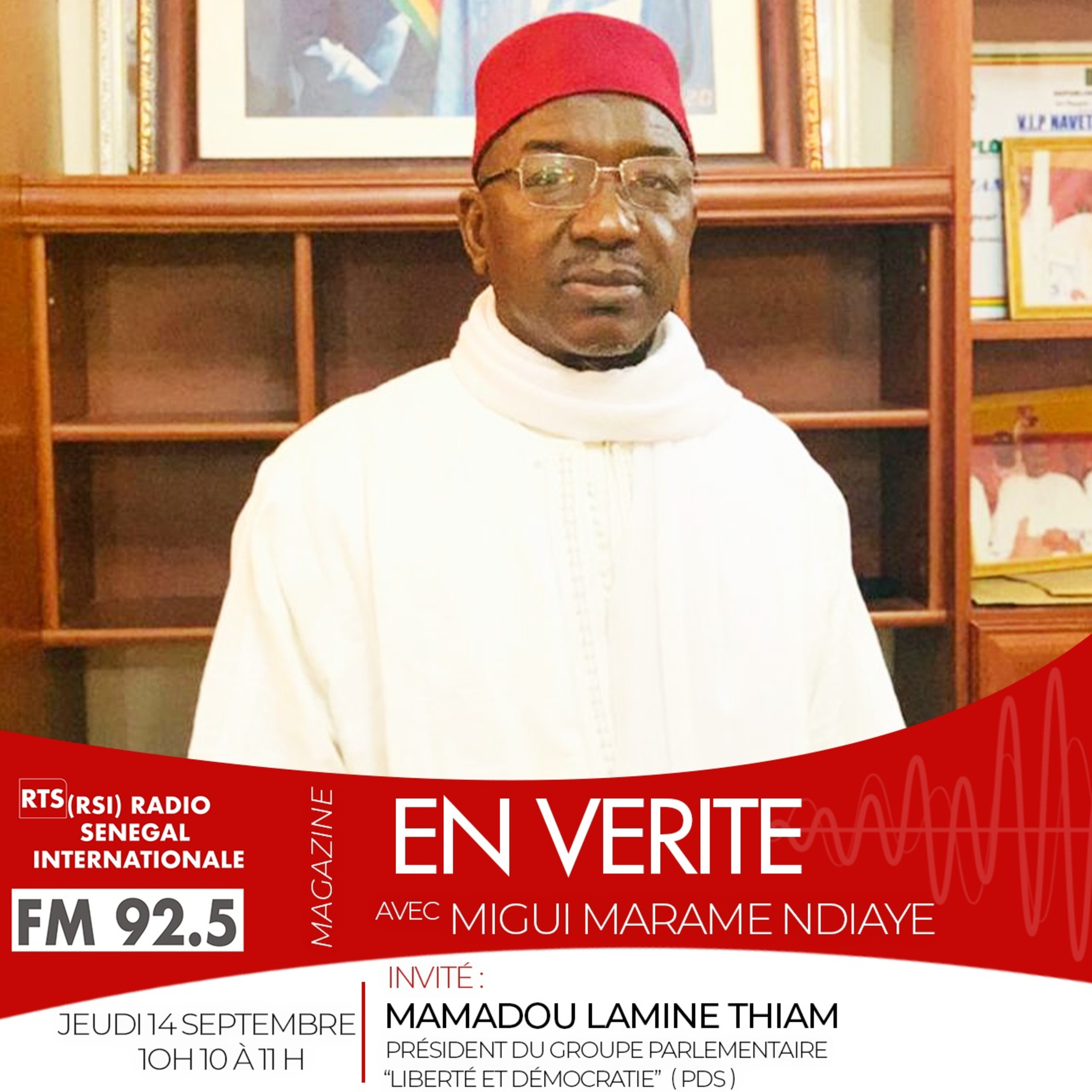 EN VÉRITÉ AVEC Mamadou Lamine THIAM , Président du groupe parlementaire “Liberté et Démocratie” ( PDS )