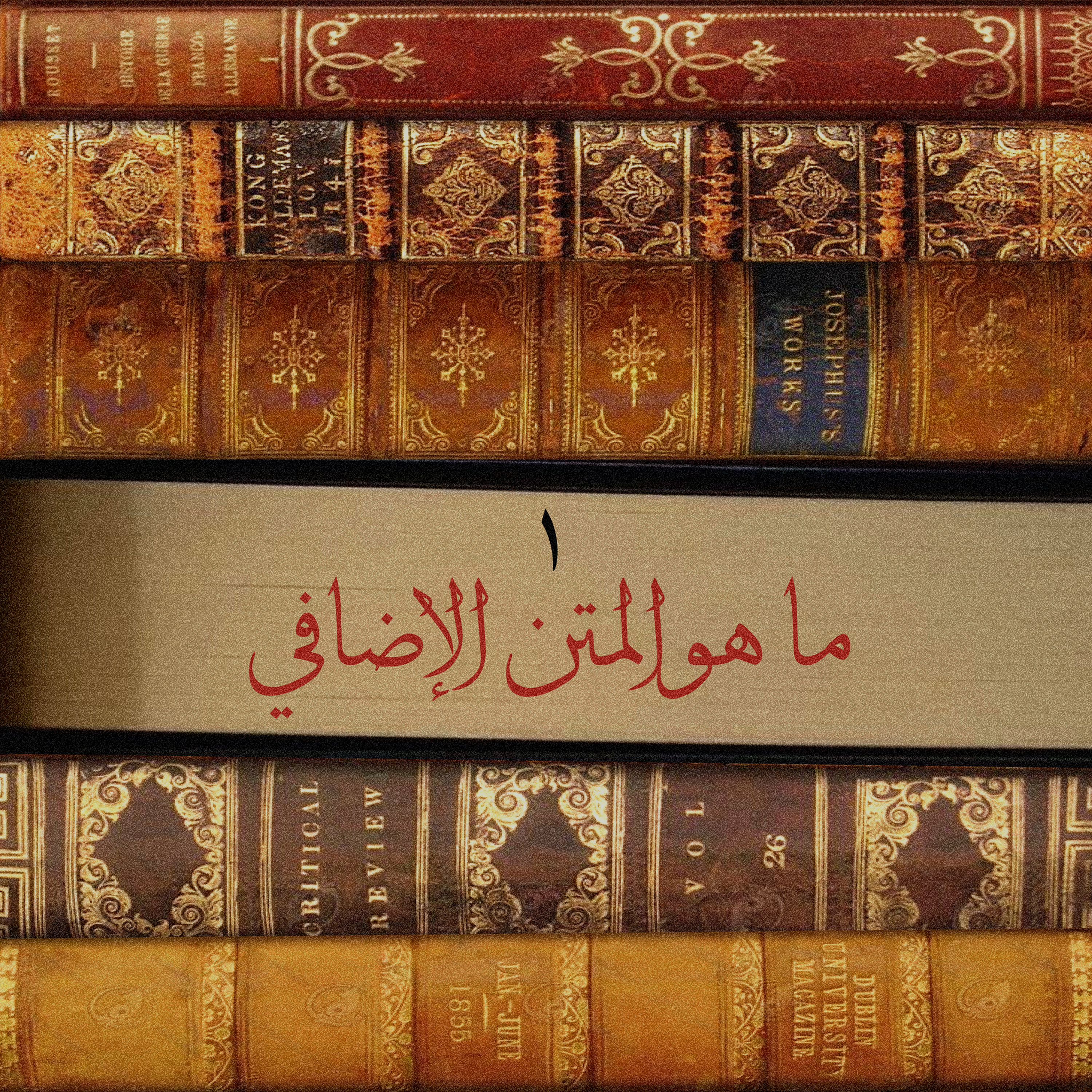 المتن الإضافي ( ٠١ ): صوت١٠: ما غاية هذه السلسلة؟