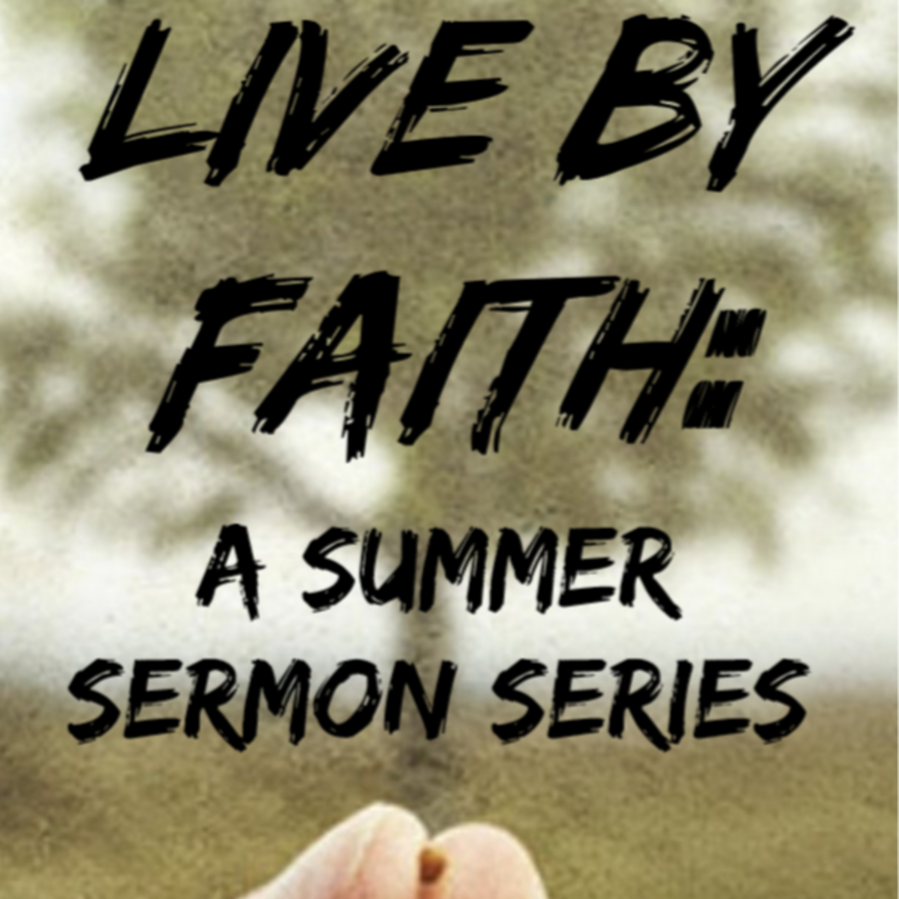 Episode 116: Live by Faith, a Summer Sermon Series Part 7 - Faith Provides More Than Enough For Us episode artwork