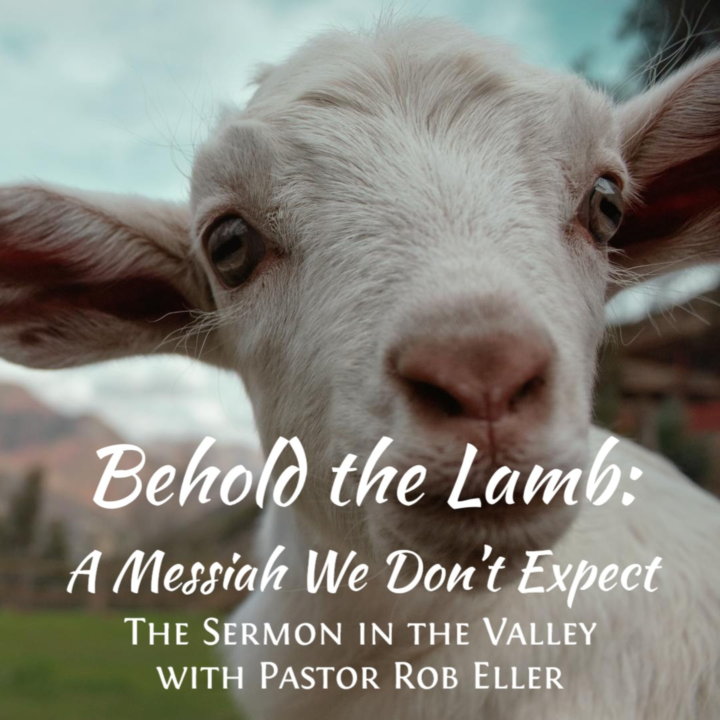 Episode 193: Behold the Lamb - A Messiah We Don't Expect episode artwork