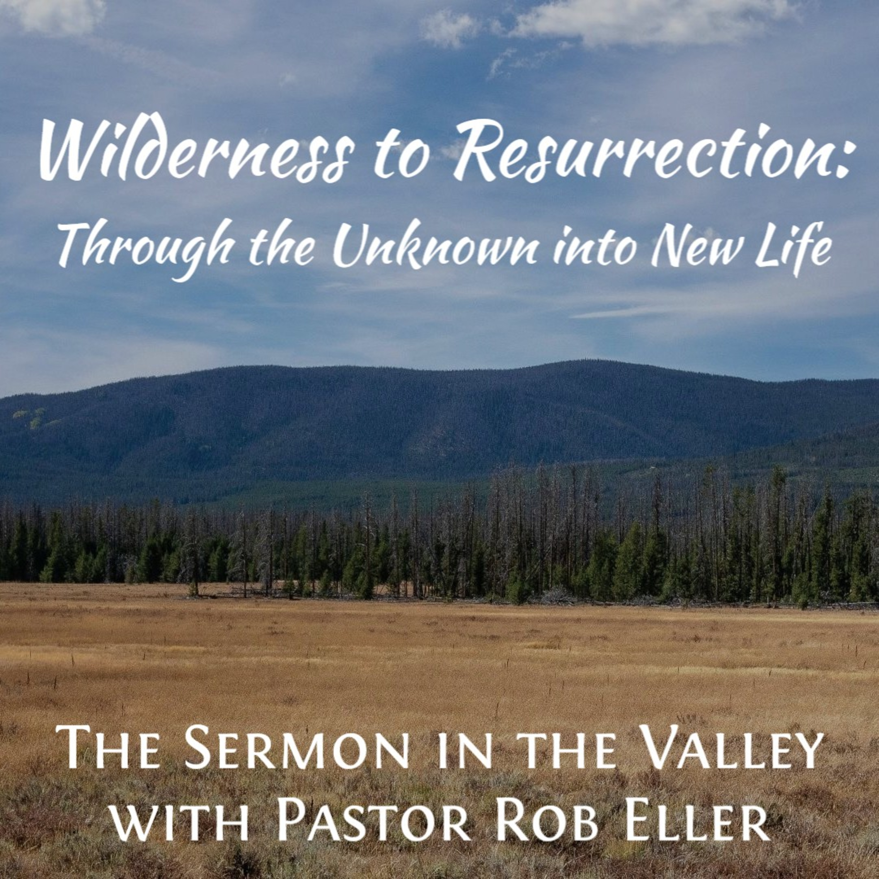Episode 199: Wilderness to Resurrection - Through the Unknown into New Life episode artwork