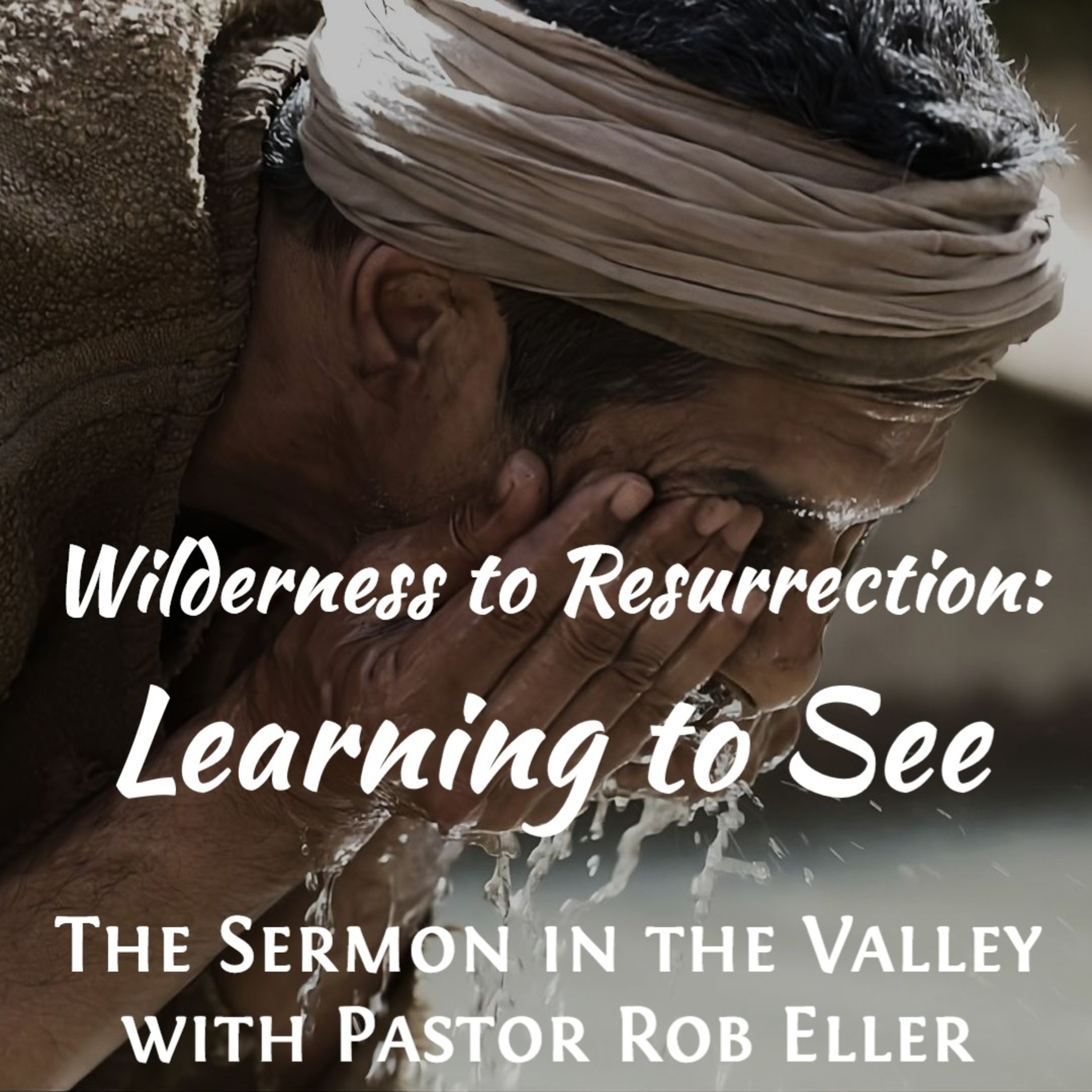Episode 201: Wilderness to Resurrection - Learning to See episode artwork