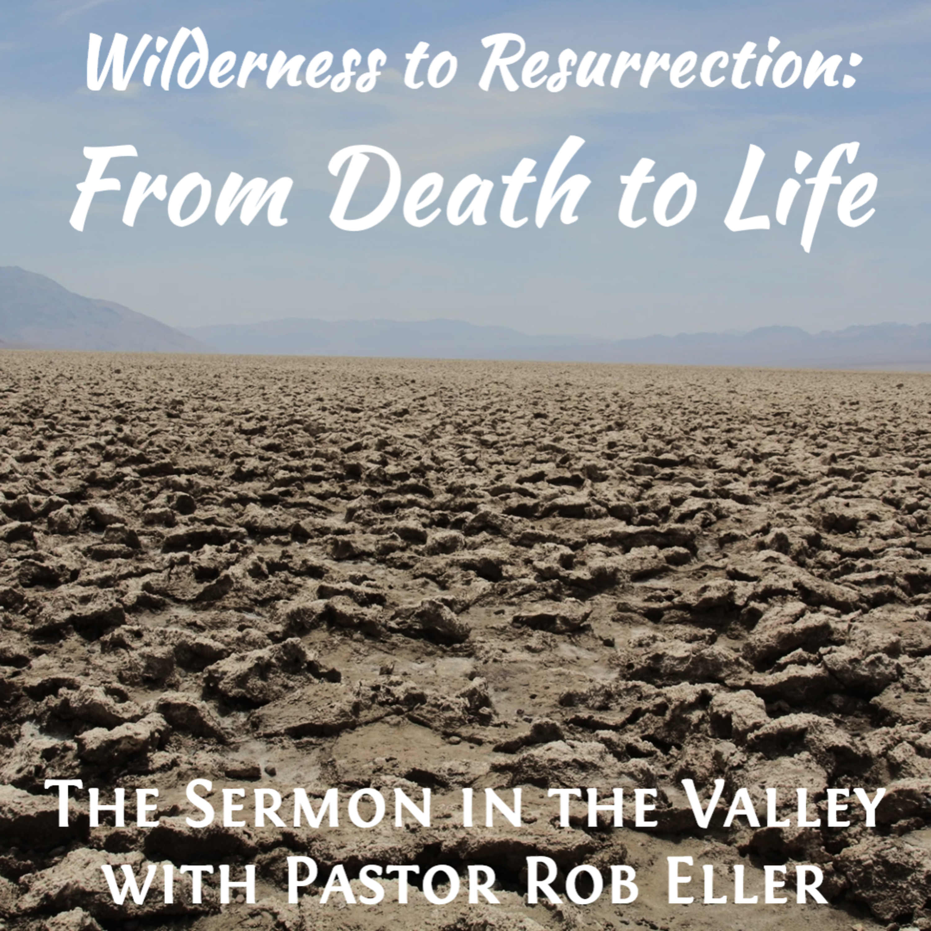 Episode 202: Wilderness to Resurrection - From Death to Life episode artwork