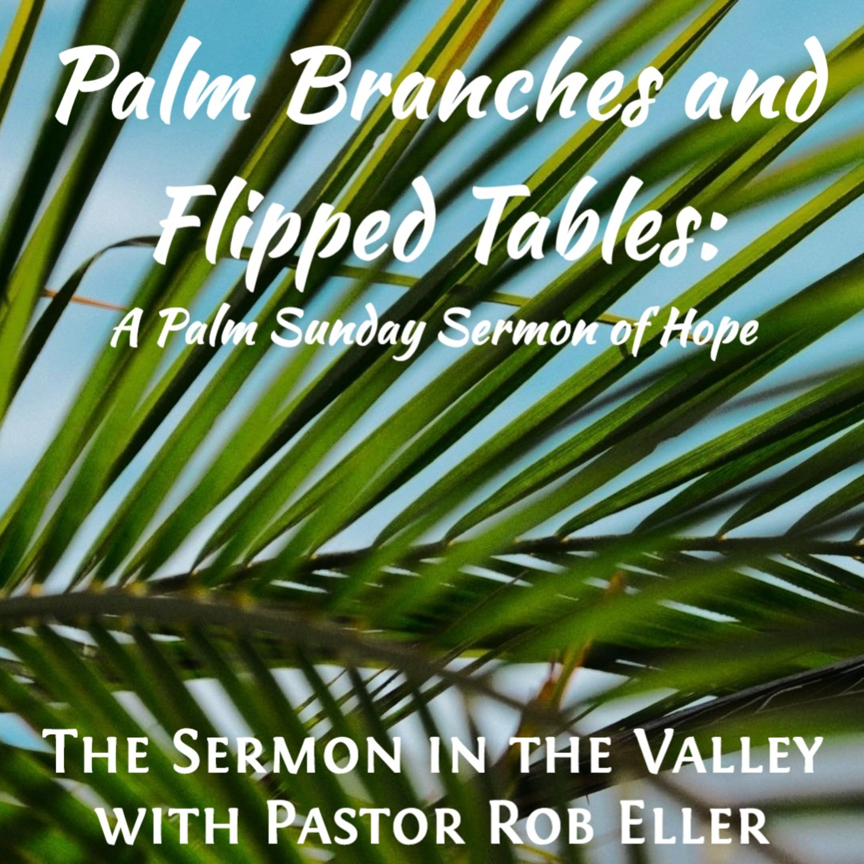 Episode 203: Palm Branches and Flipped Tables - A Palm Sunday Sermon of Hope episode artwork