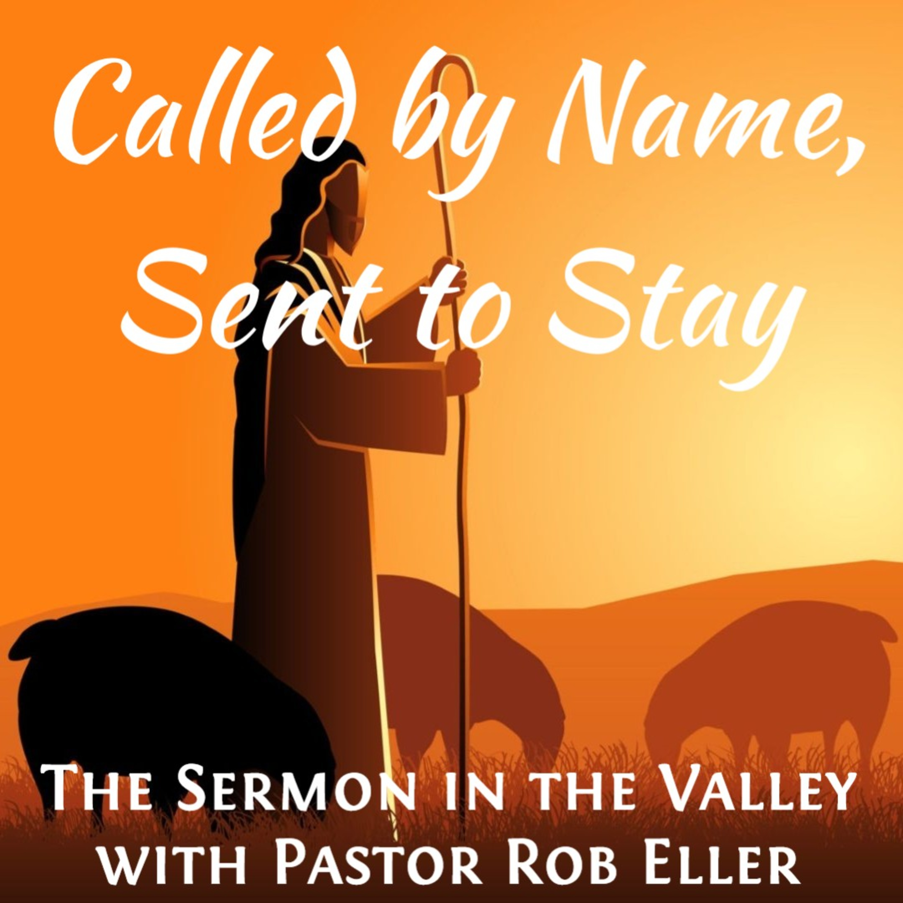 Episode 207: Called by Name, Sent to Stay episode artwork