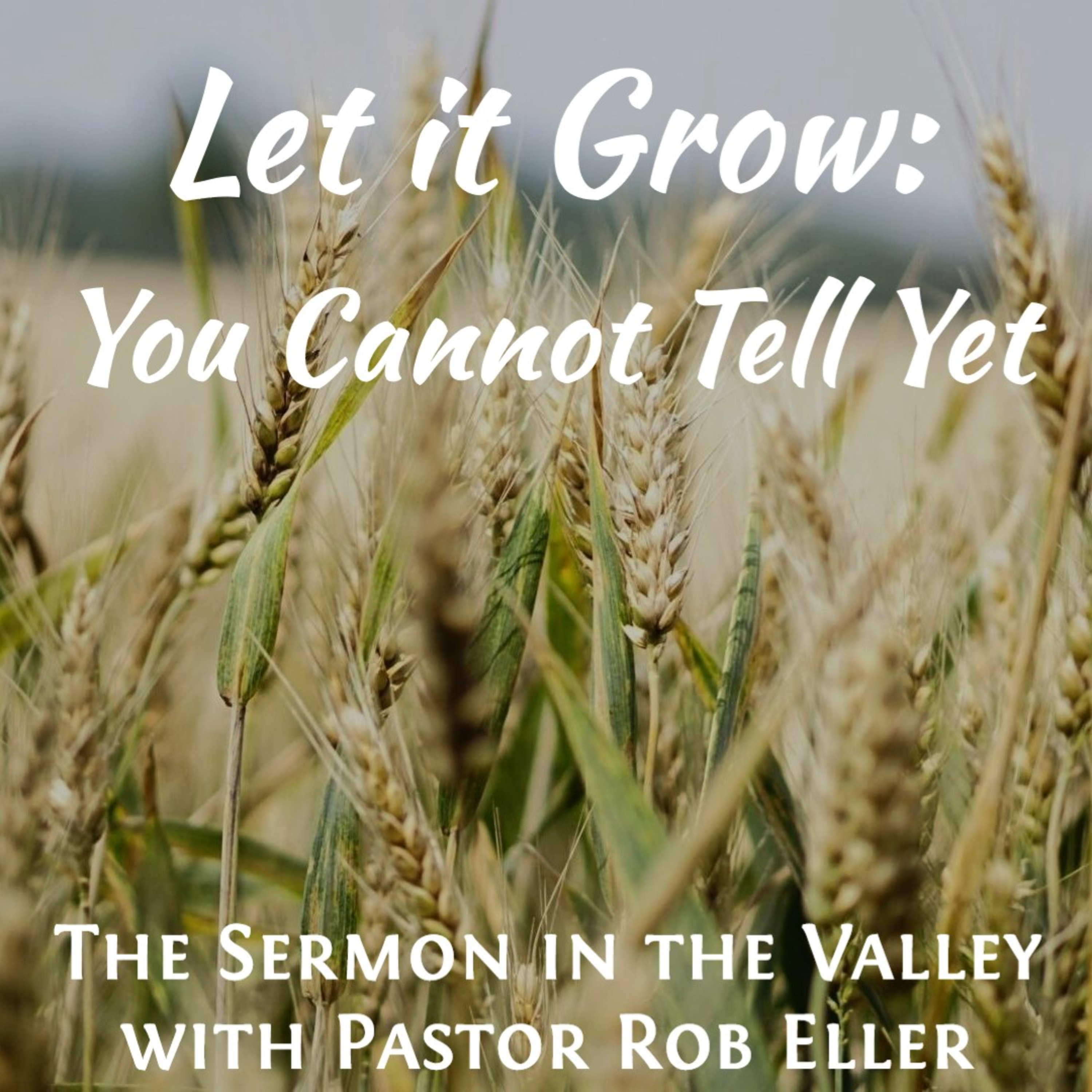 Episode 218: Let it Grow - You Cannot Tell Yet episode artwork