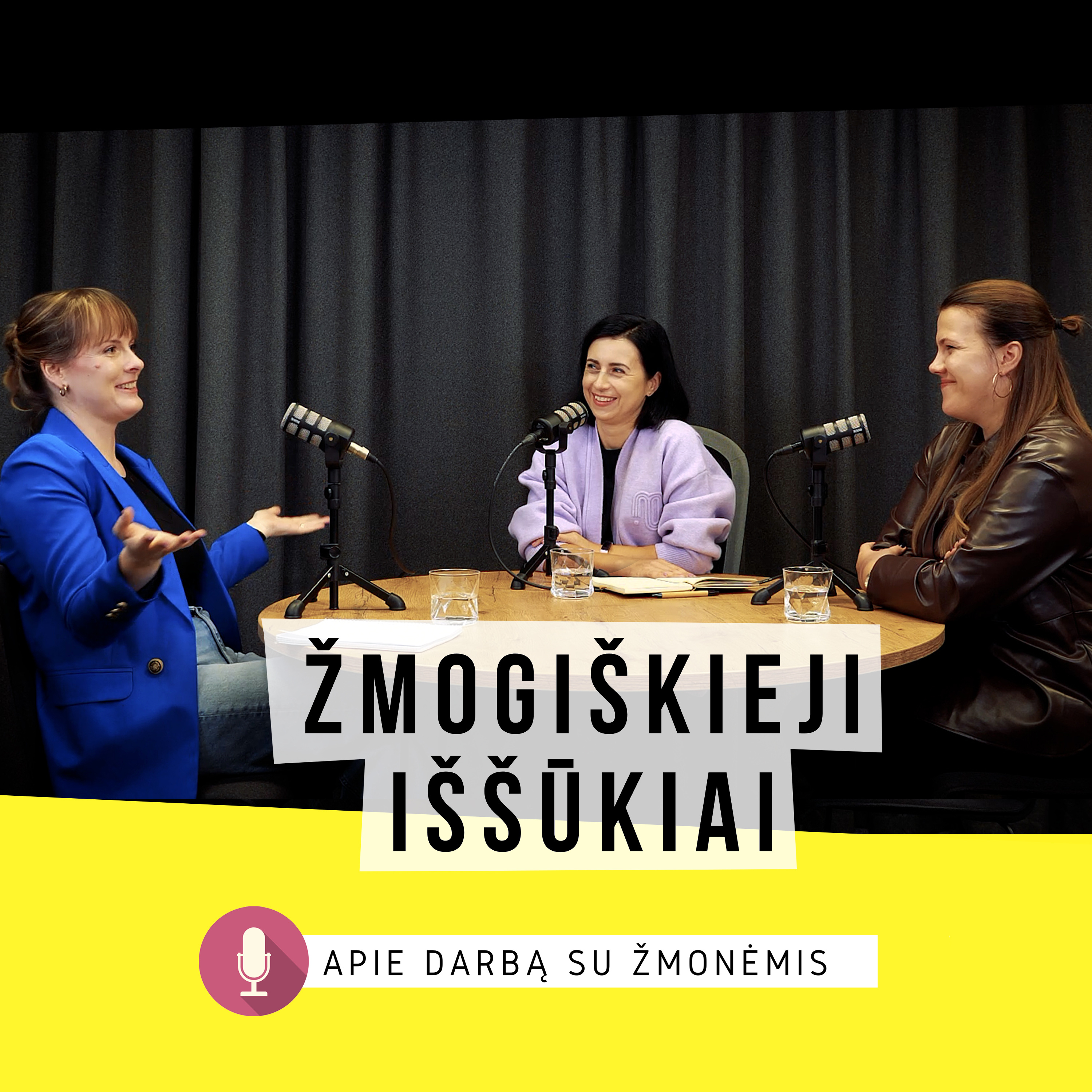 KAIP PRAVESTI DARBO POKALBĮ su Justina Kalkiene (Festo) ir Sigita Šalte (Evolvery) KAIP PRAVESTI DARBO POKALBĮ su Justina Kalkiene (Festo) ir Sigita Šalte (Evolvery)