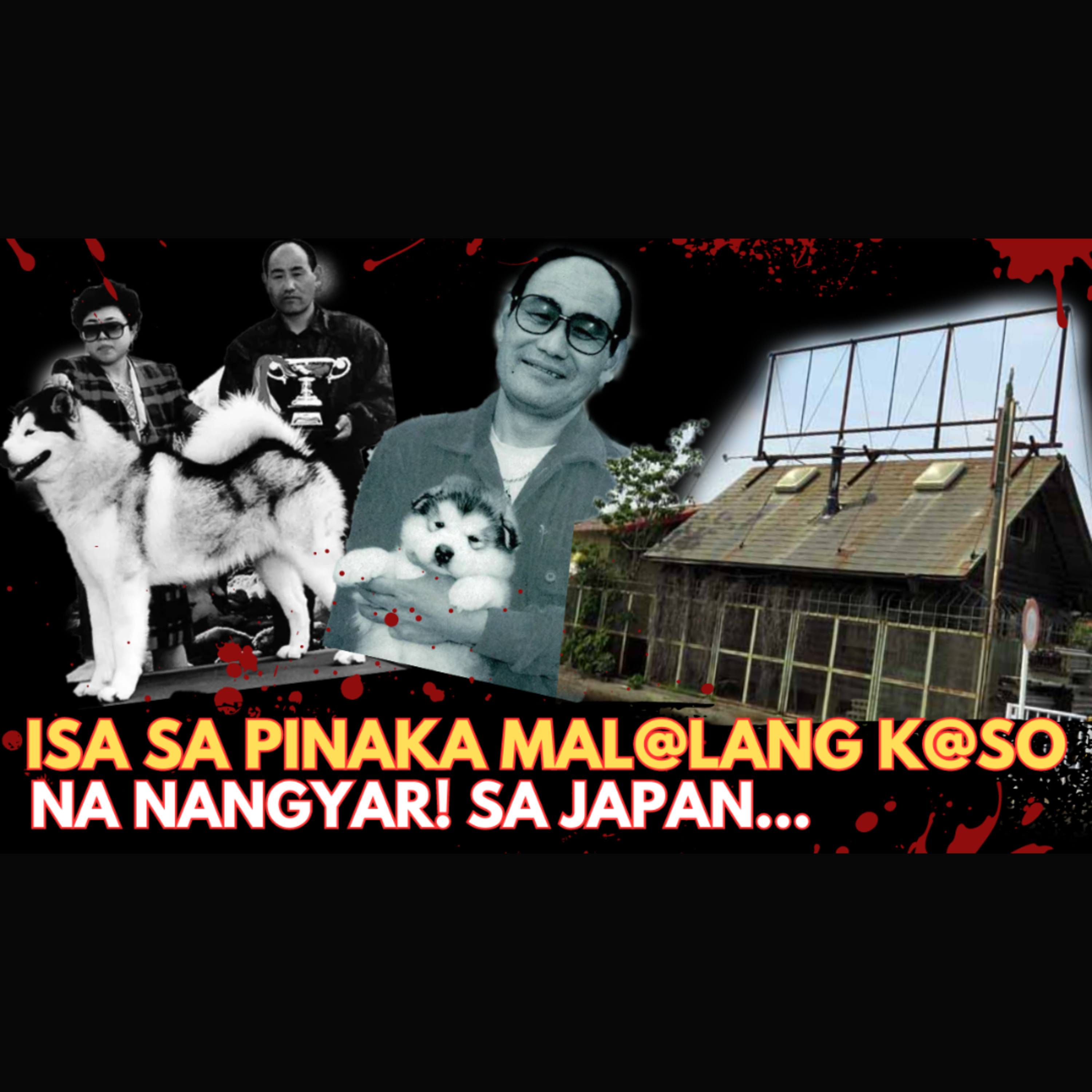 ANG ISA SA PINAKA-BRUT@L NA KASO NG JAPAN | THE DOG LOVERS MURD*R CASE episode artwork