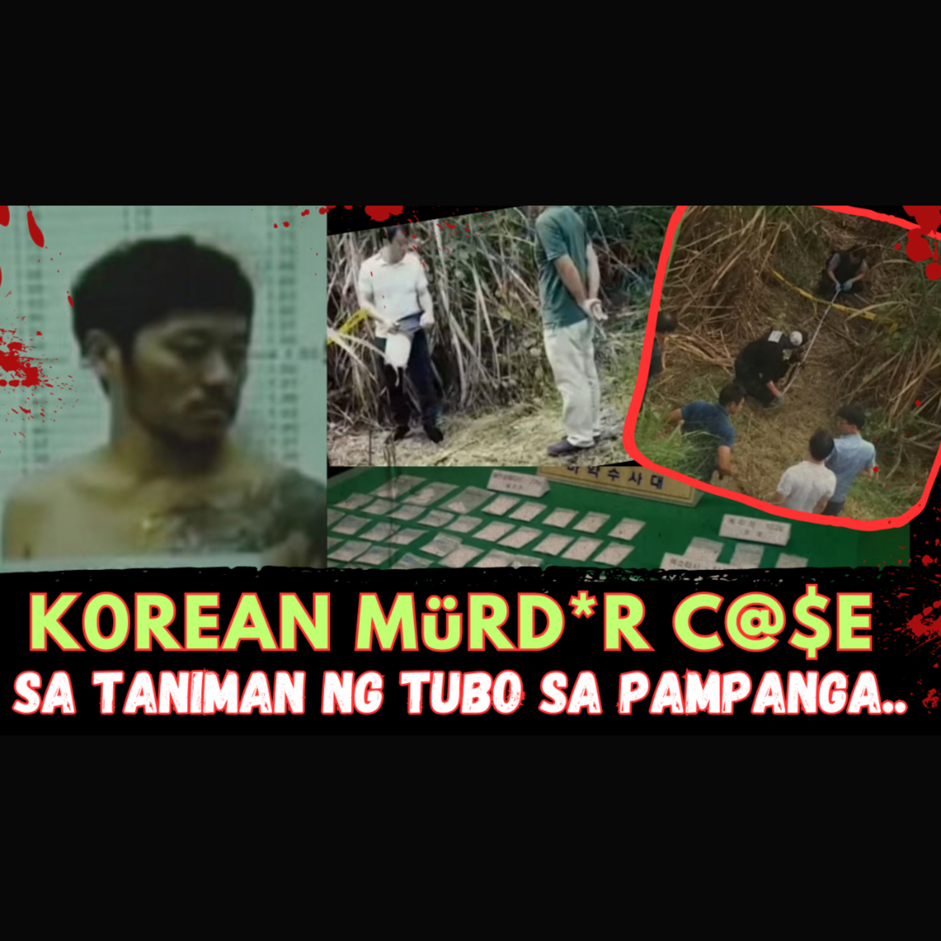 KOREAN MURDER CASE SA TANIMAN NG TUBO SA BACOLOR, PAMPANGA episode artwork