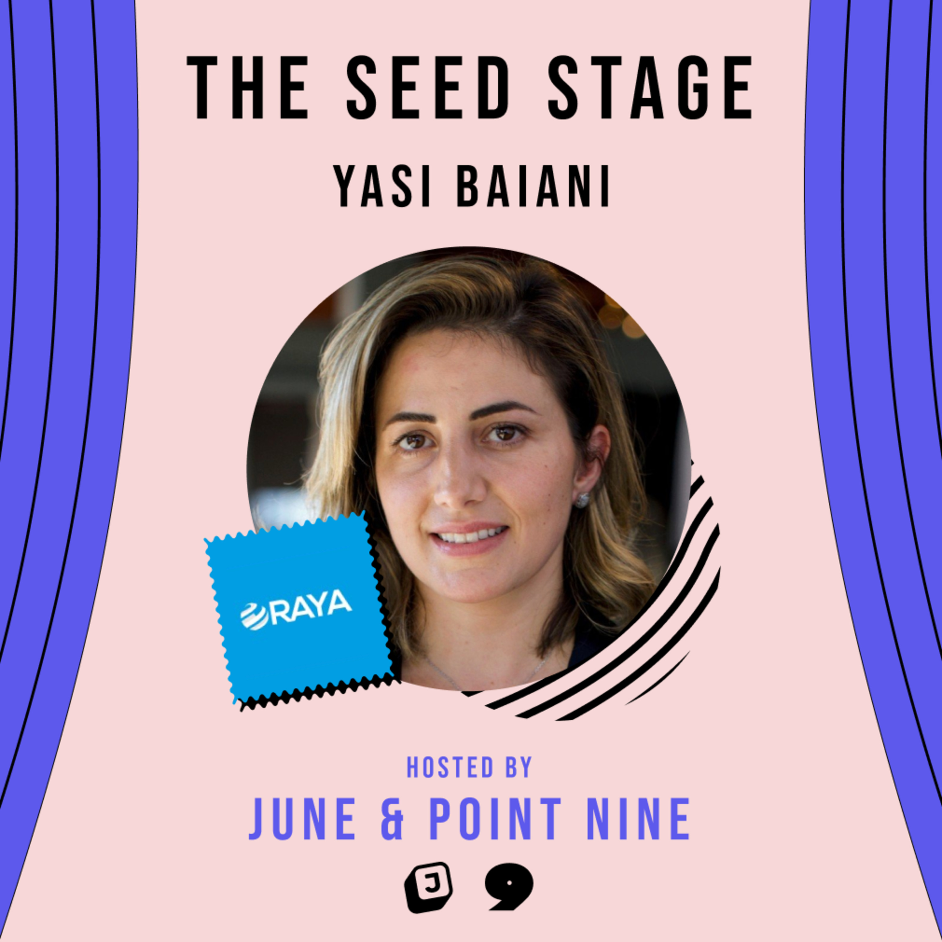 The Seed Stage - formerly \