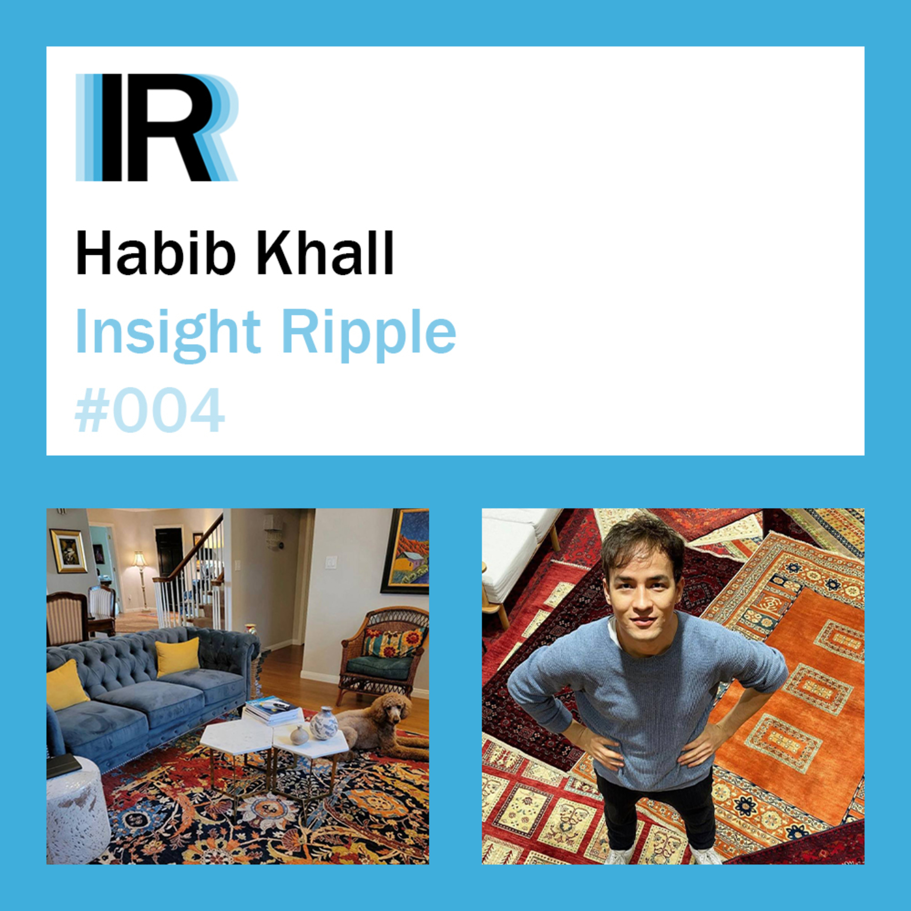 Habib Khall: Founding Yamil Crafts, Authentic Rugs & Finding Success on Etsy | Insight Ripple #004 episode artwork