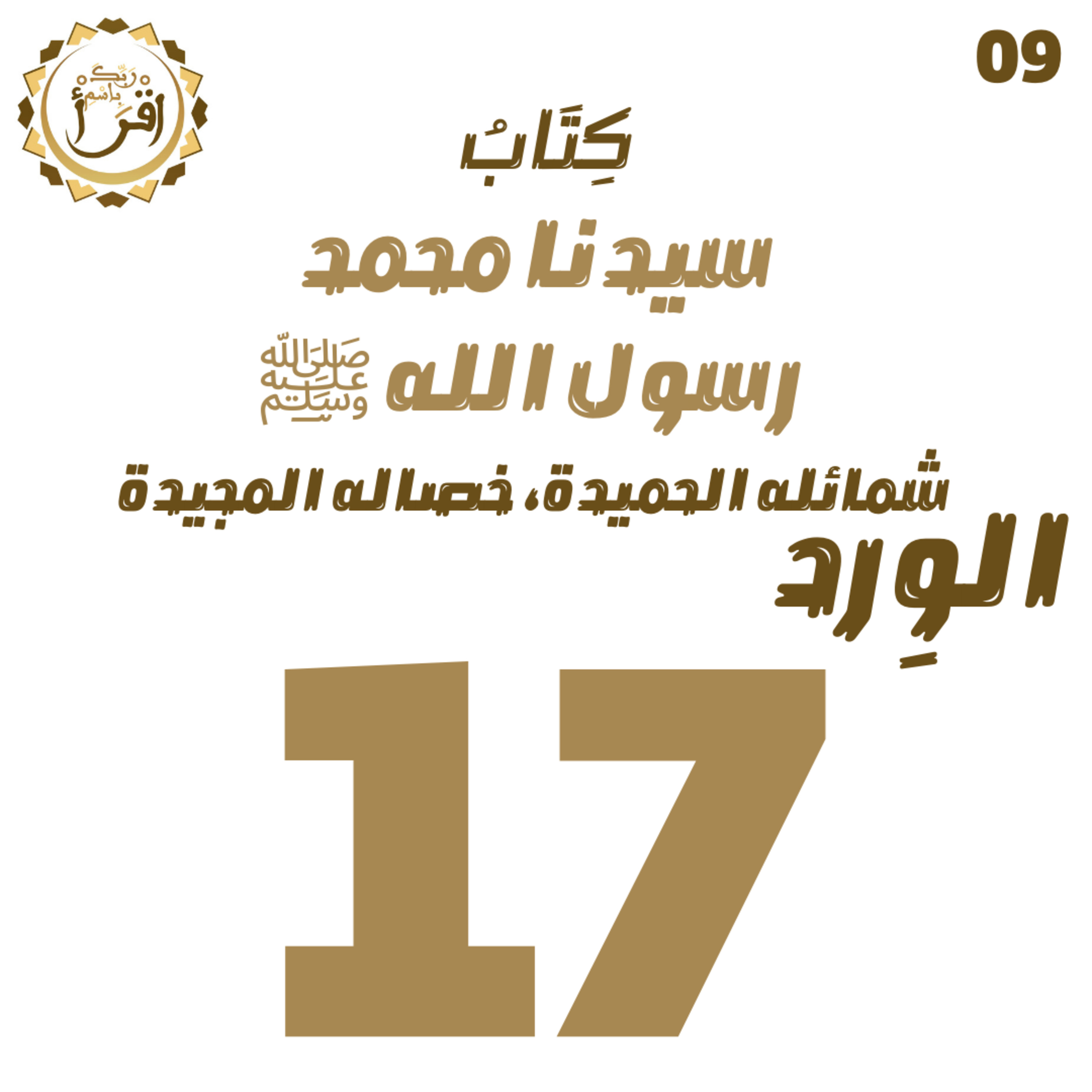 سيدنا محمد رسول الله ﷺ| الجلسة 17