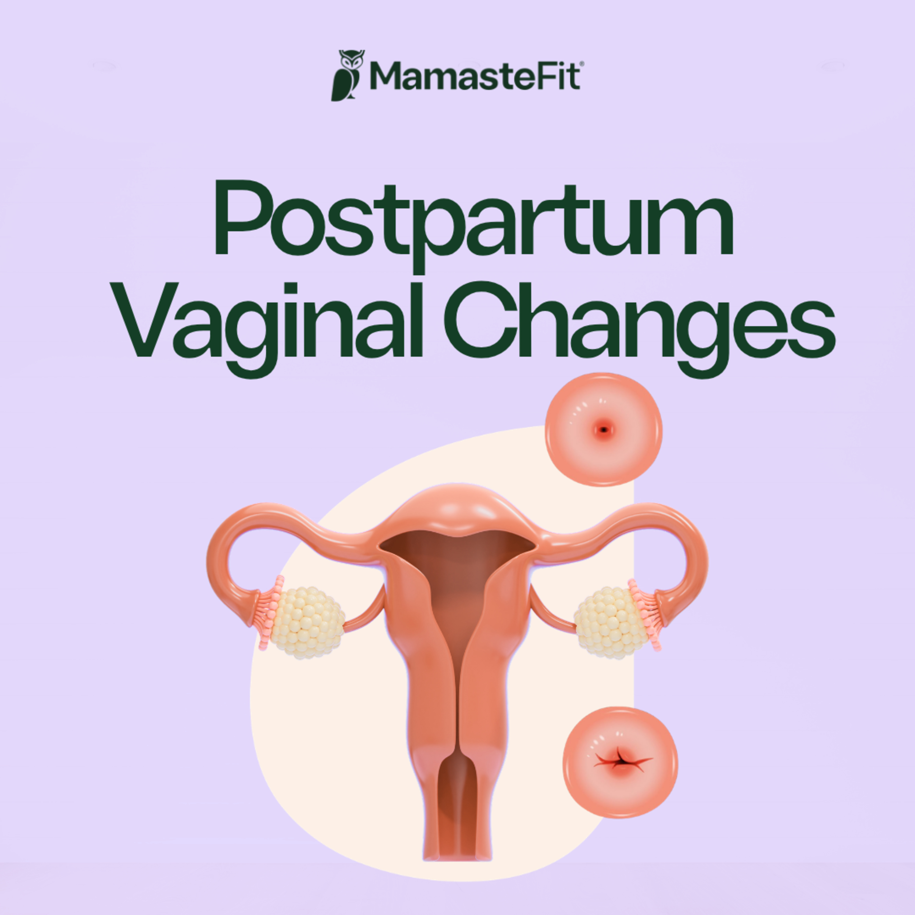 173: Postpartum Vaginal Changes: Dryness, Itchiness, Discharge, Healing Timeline & Red Flags