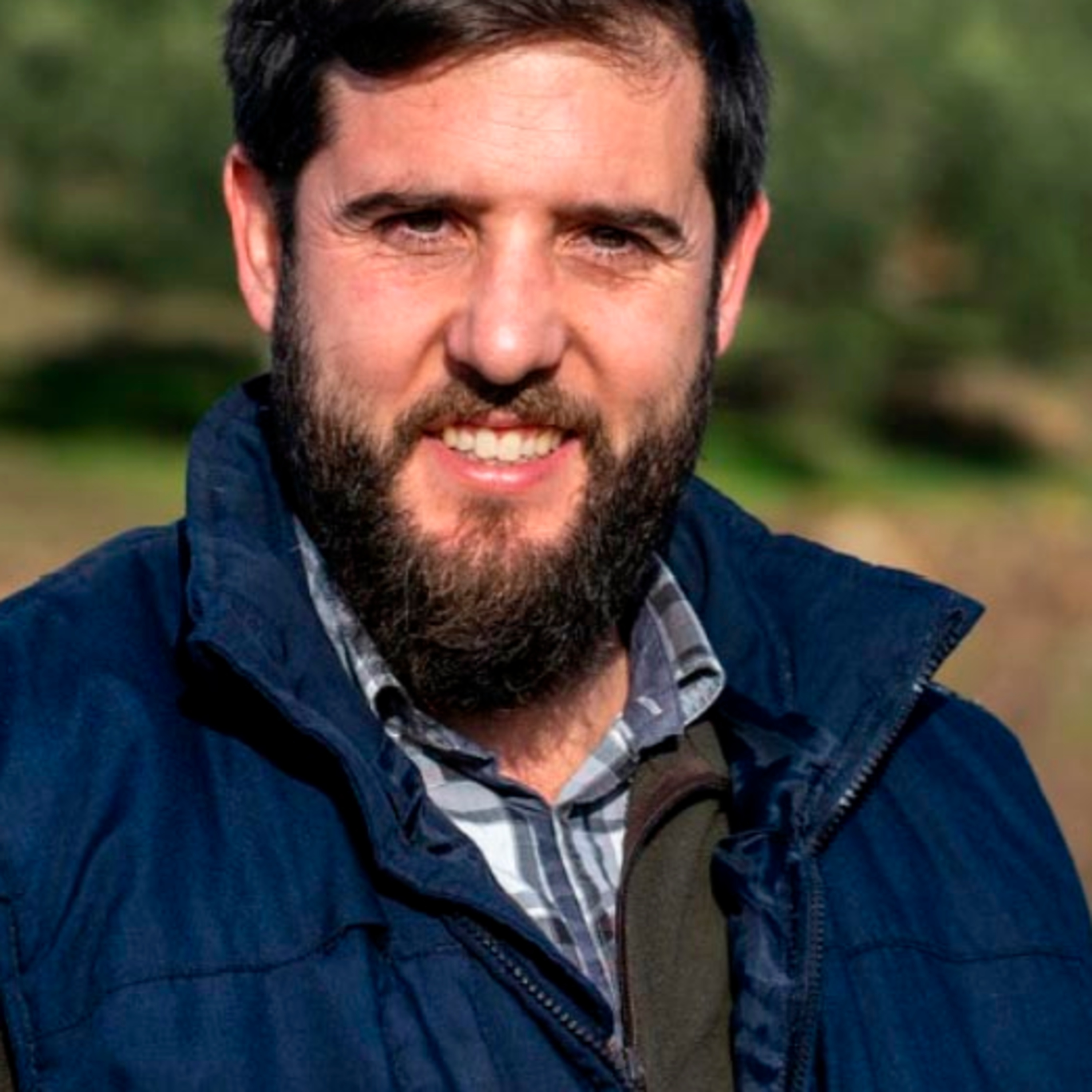 Tocat pel vi