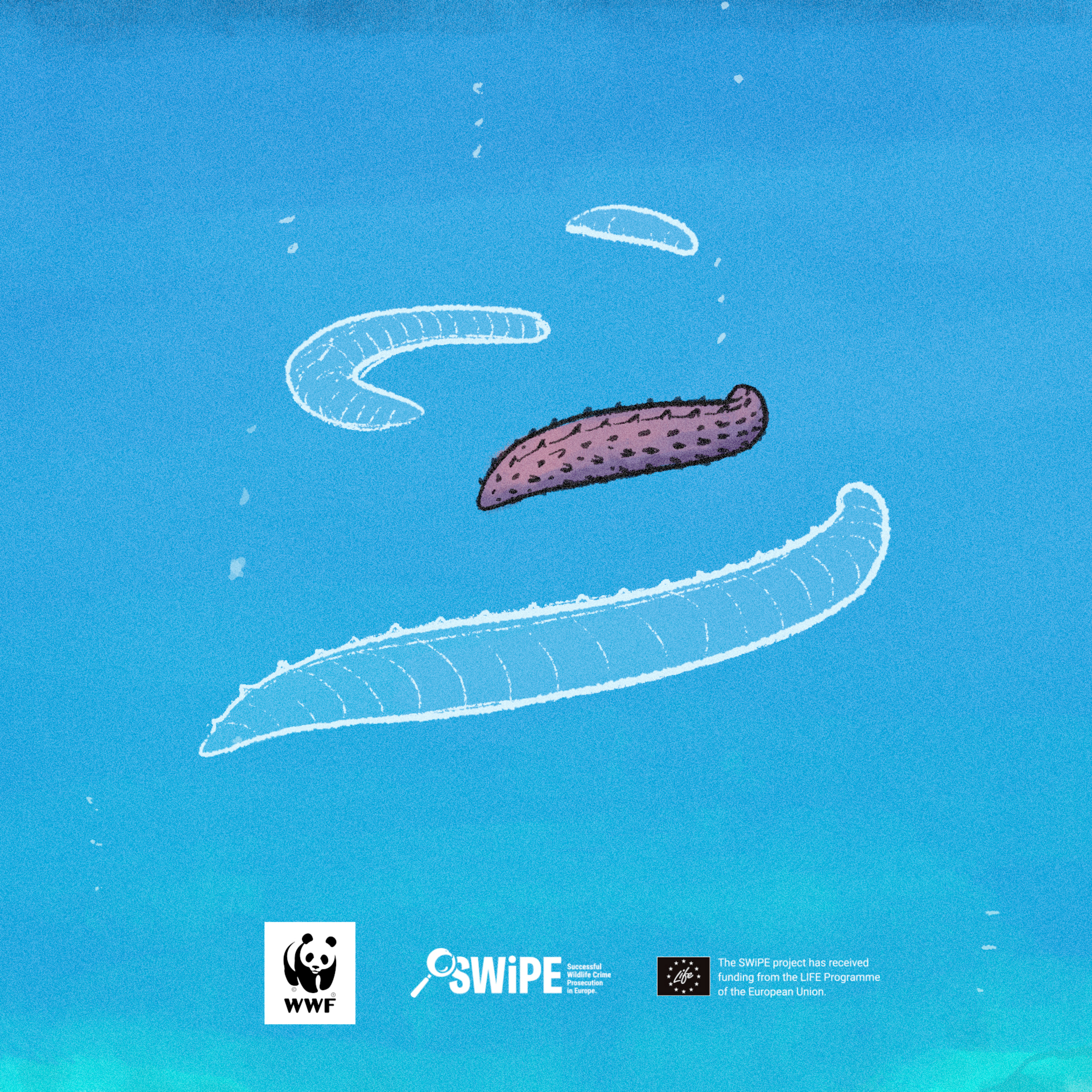 Divljina - WWF podcast o zločinima protiv divljih vrsta