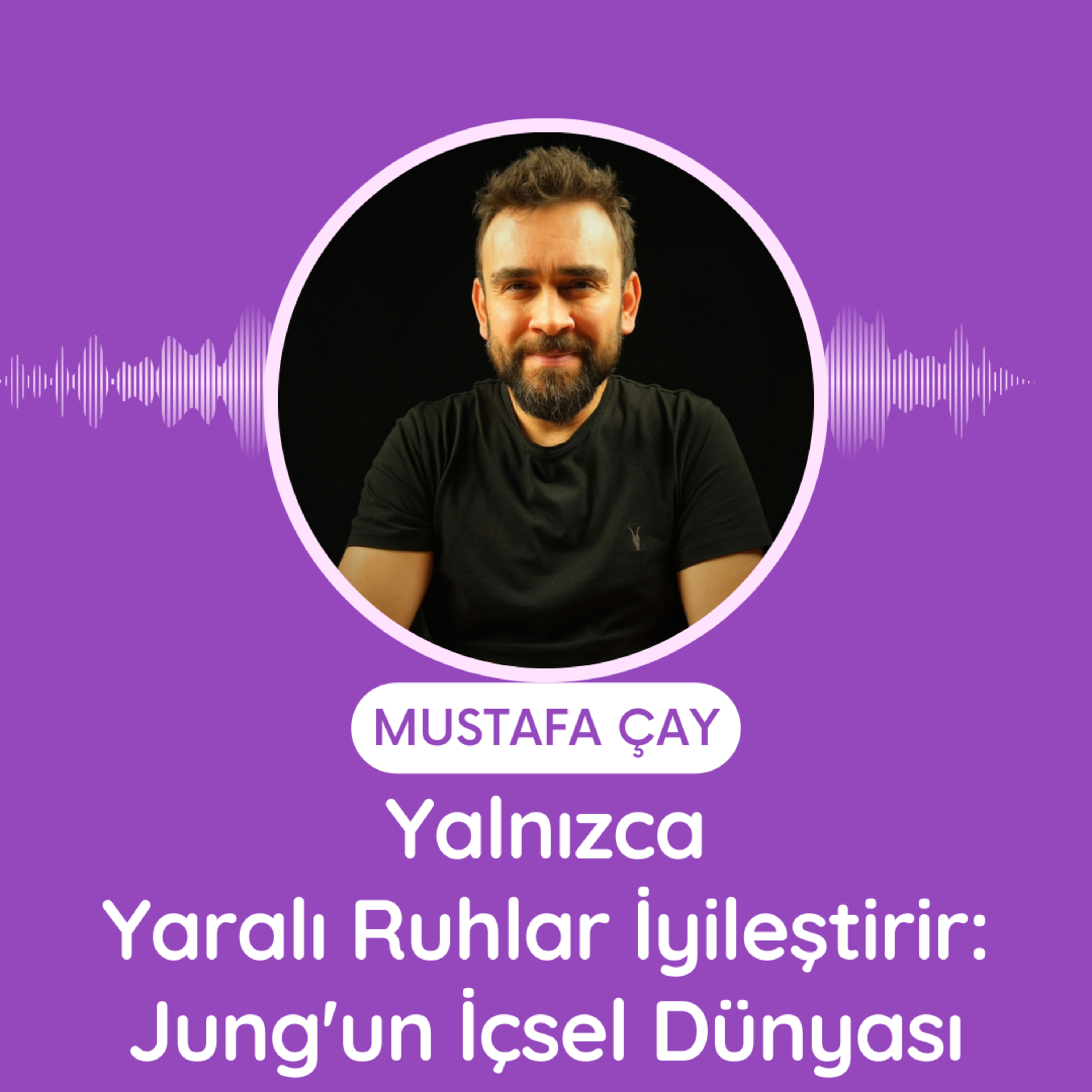 Yalnızca Yaralı Ruhlar İyileştirir: Jung'un İçsel Dünyası episode artwork
