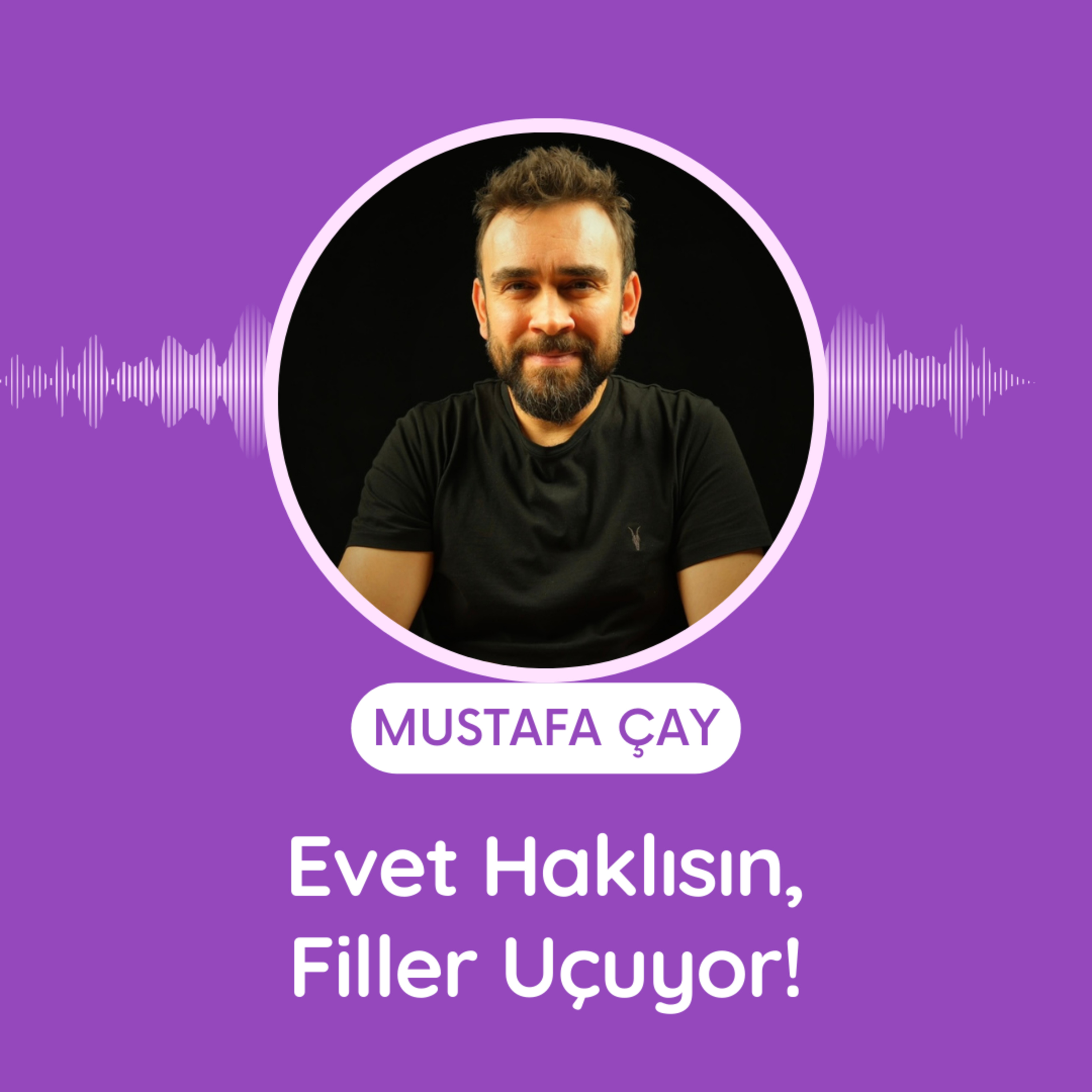 Evet Haklısın, Filler Uçuyor! episode artwork